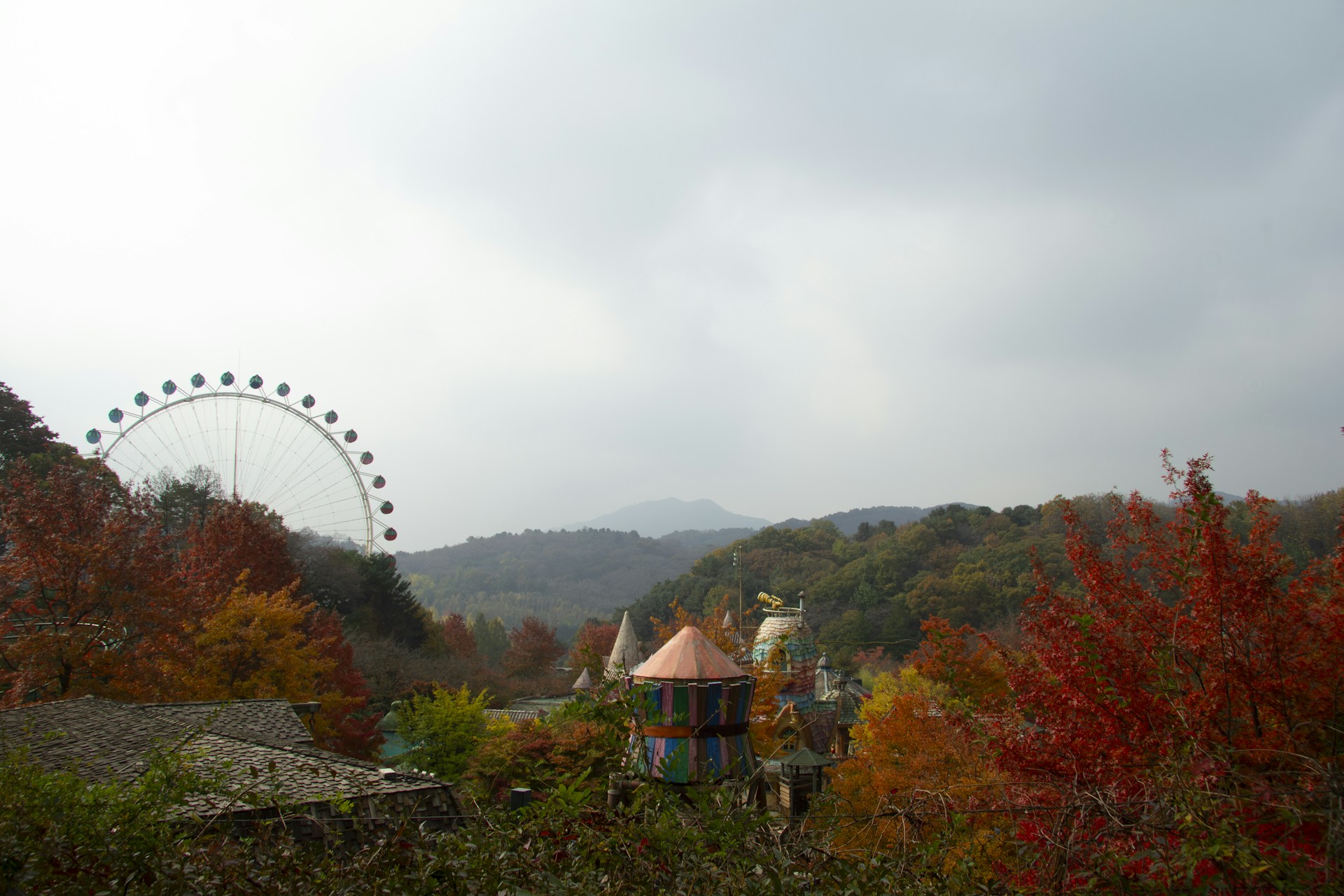 an amusement park with a ferris wheel in the background