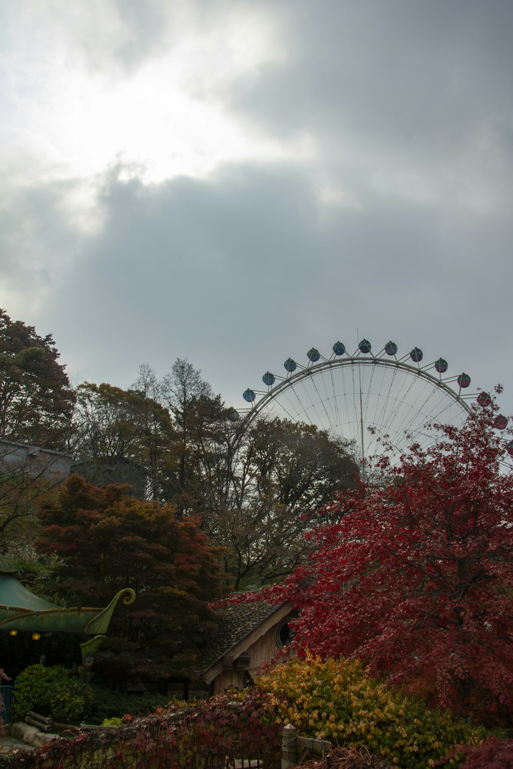 a ferris wheel in the middle of a park