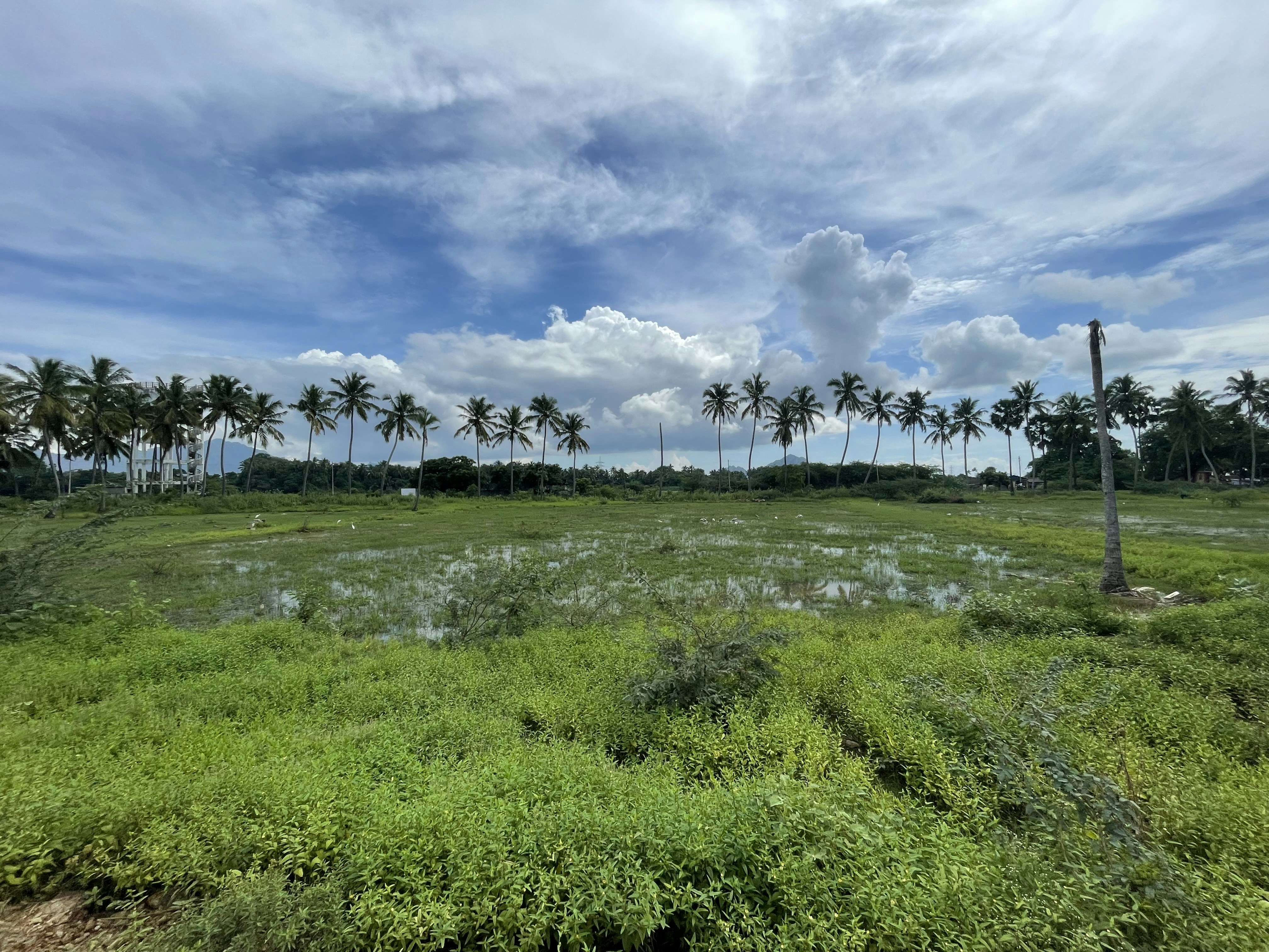 Photo by networkandcode