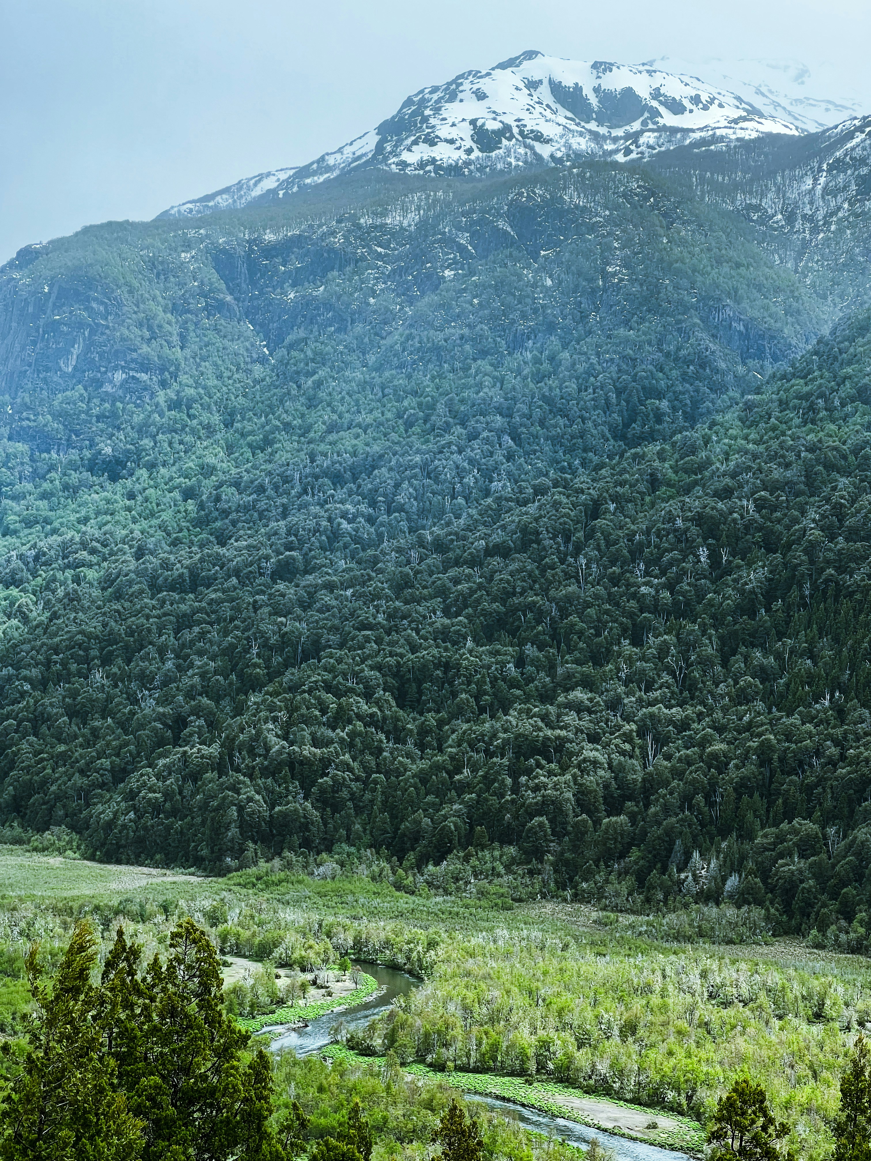 Photo by sebaagarrayua