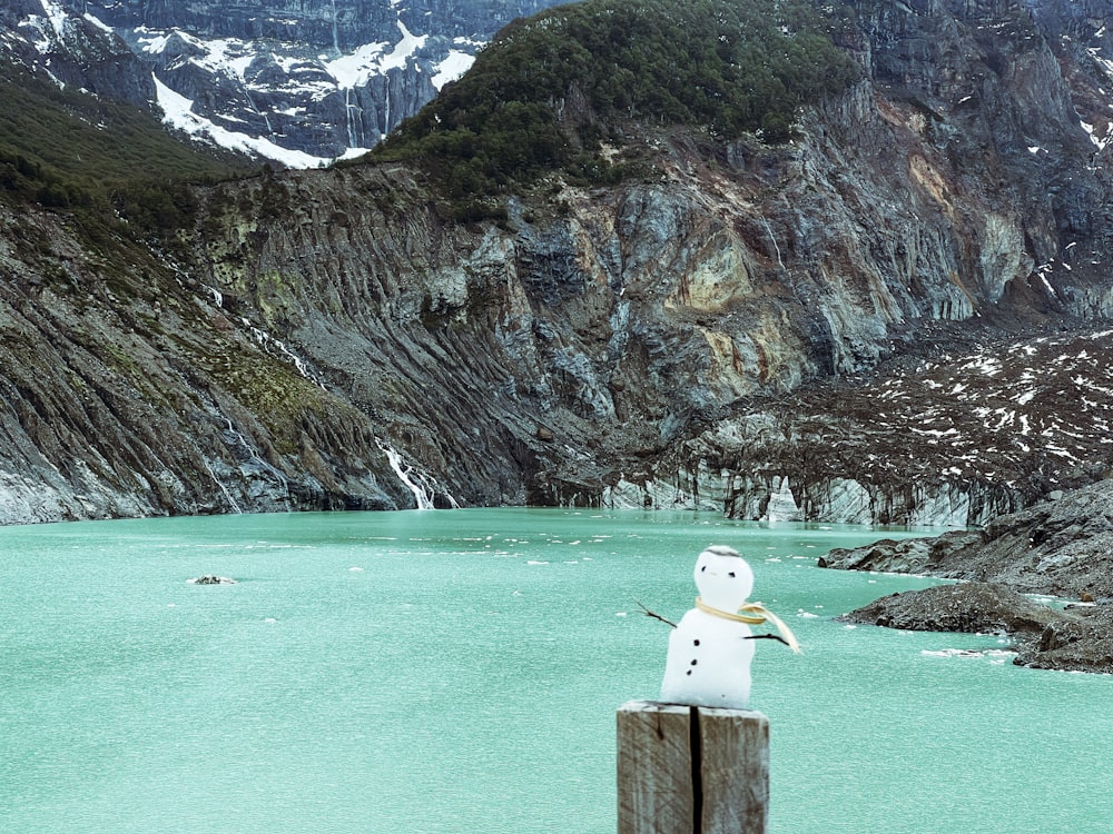 a snowman sitting on a post in front of a mountain lake