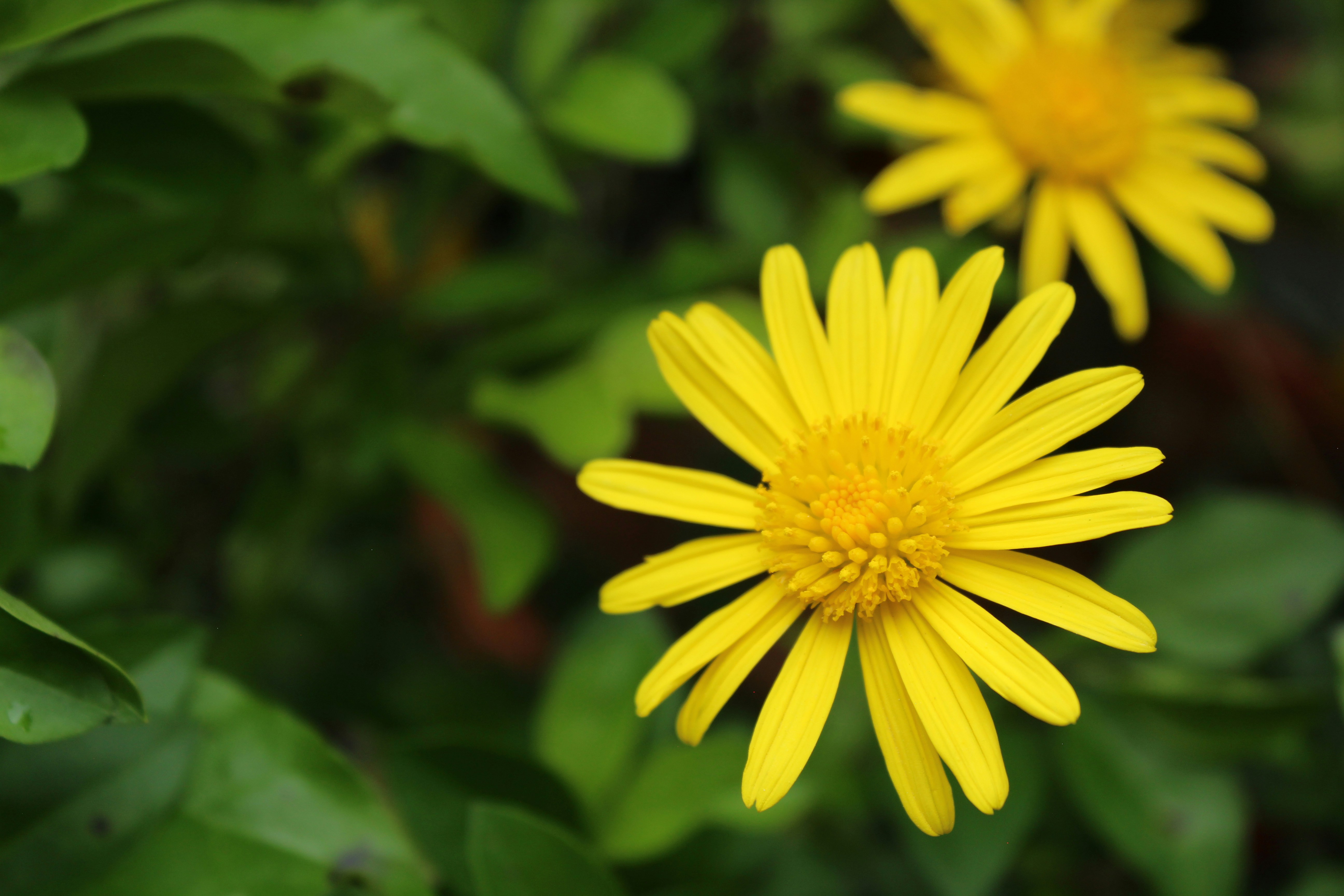 Photo by mxrning_stxr