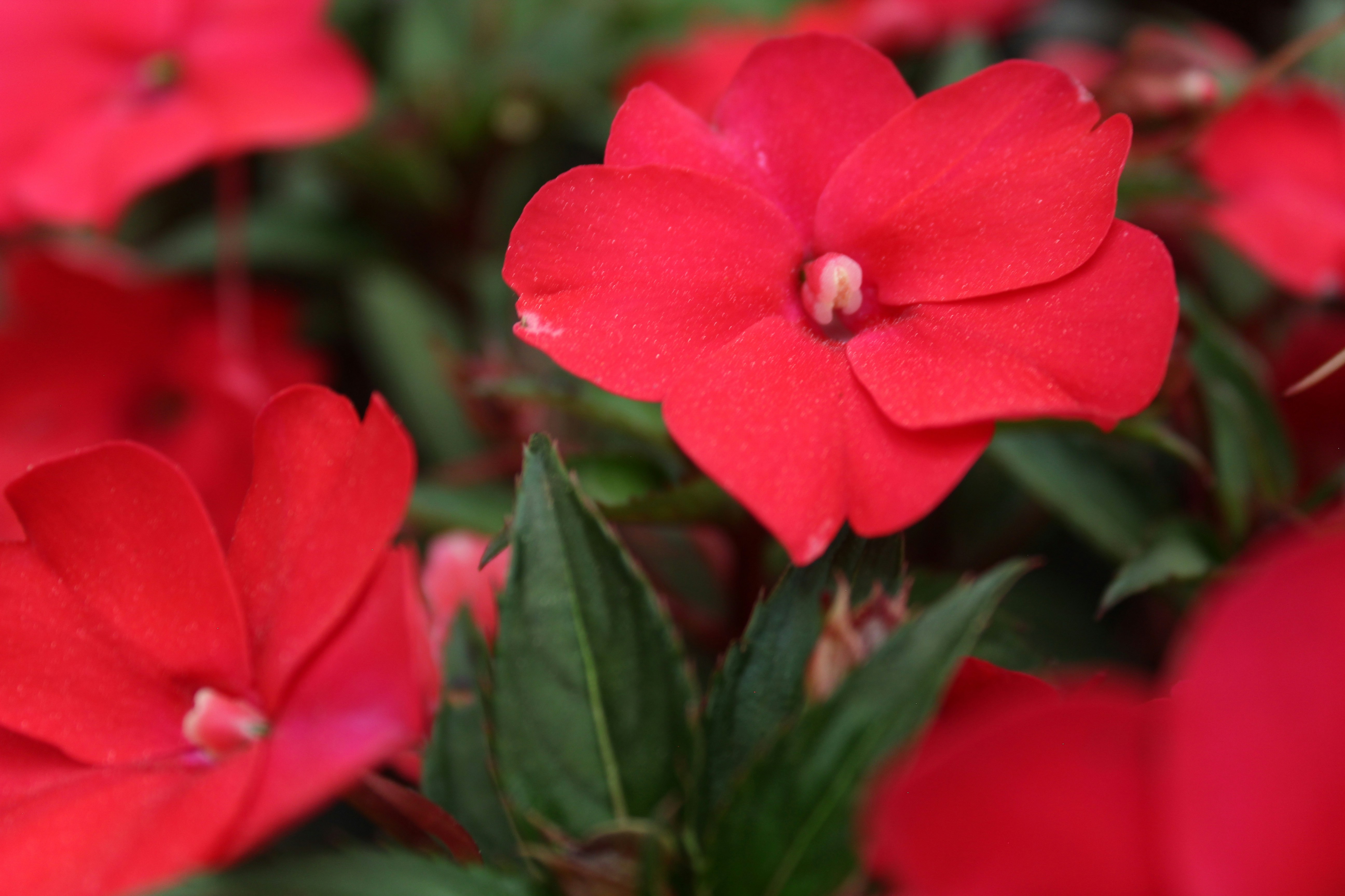 Photo by mxrning_stxr