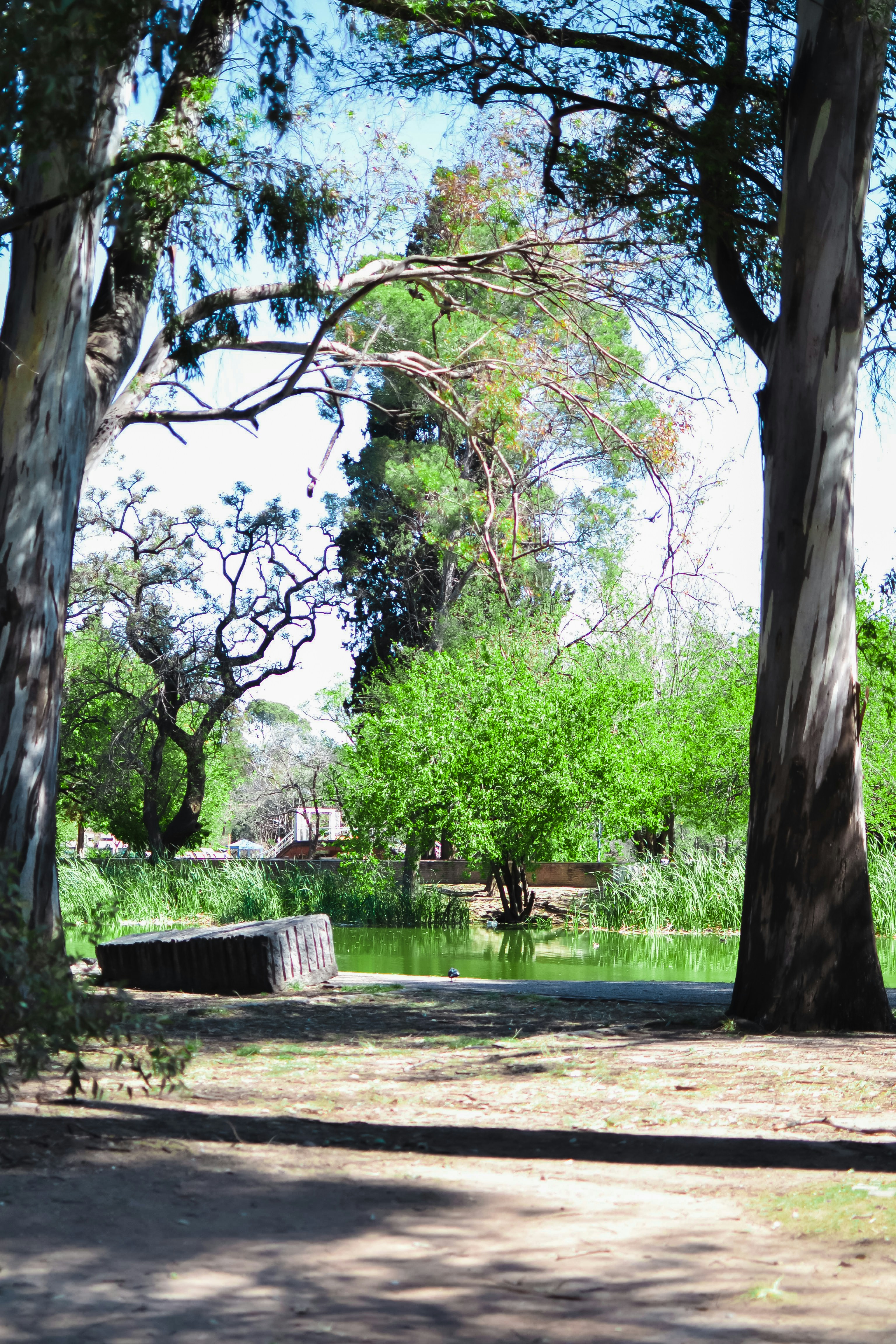 Photo by diseniatica