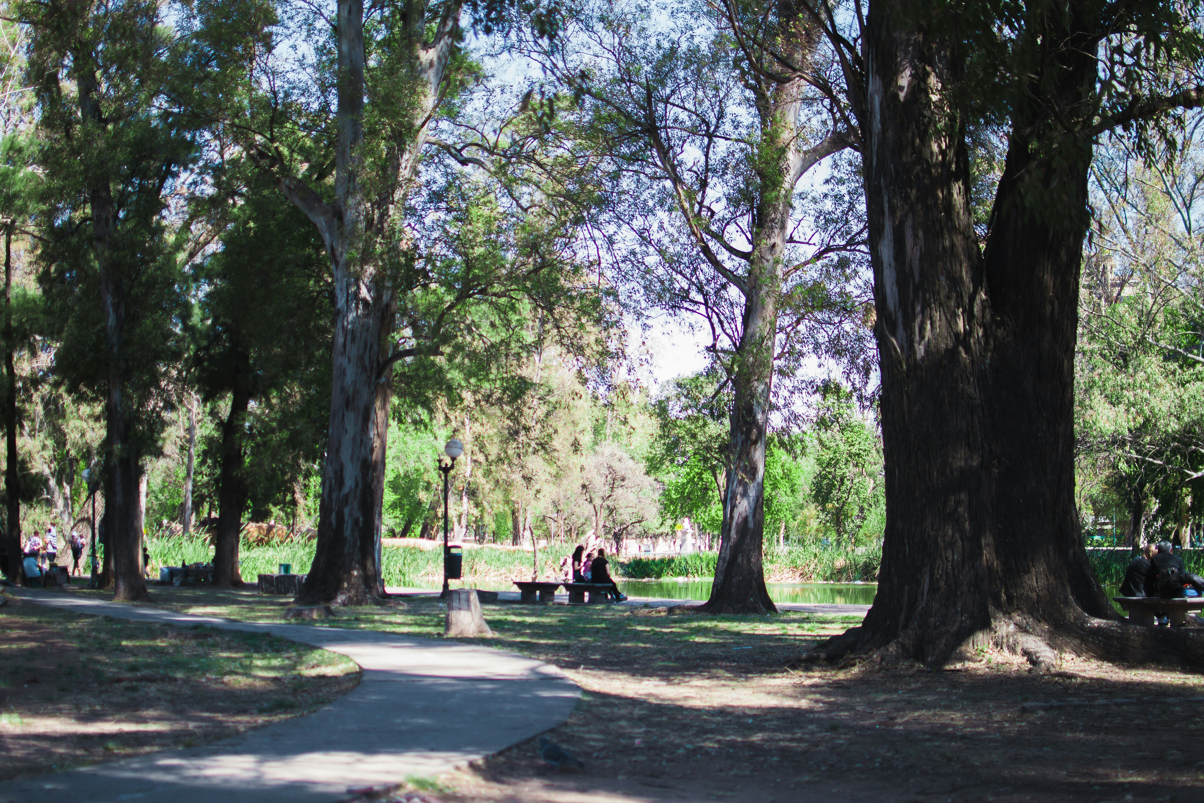 Photo by diseniatica