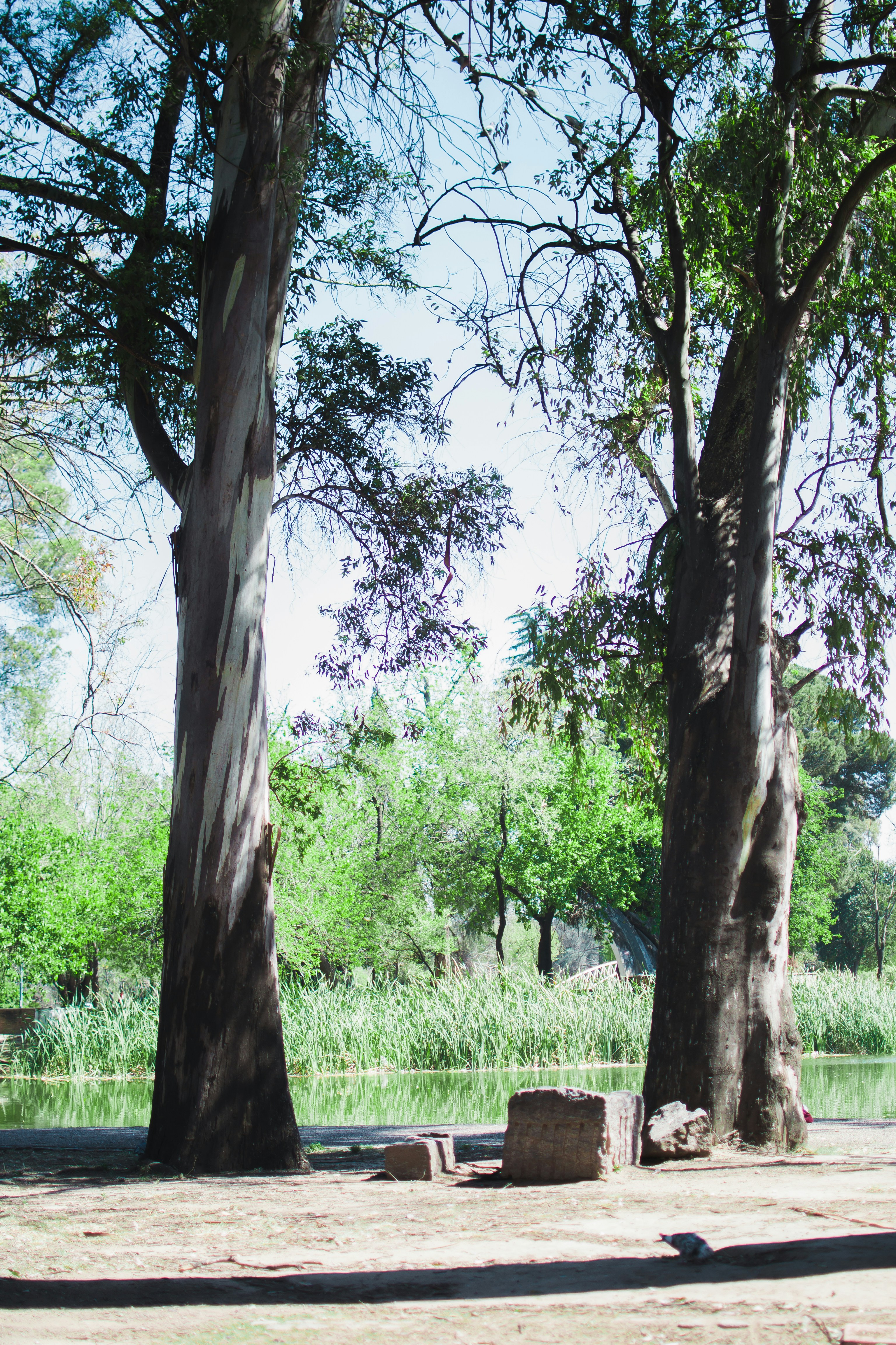 Photo by diseniatica