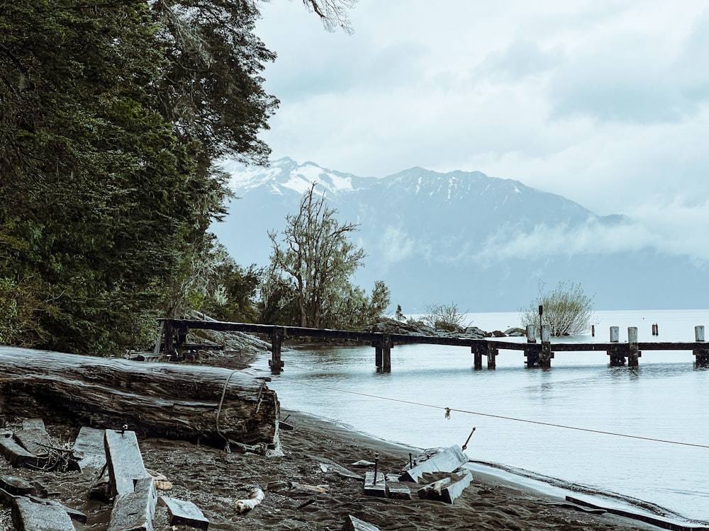 a wooden bridge over a body of water