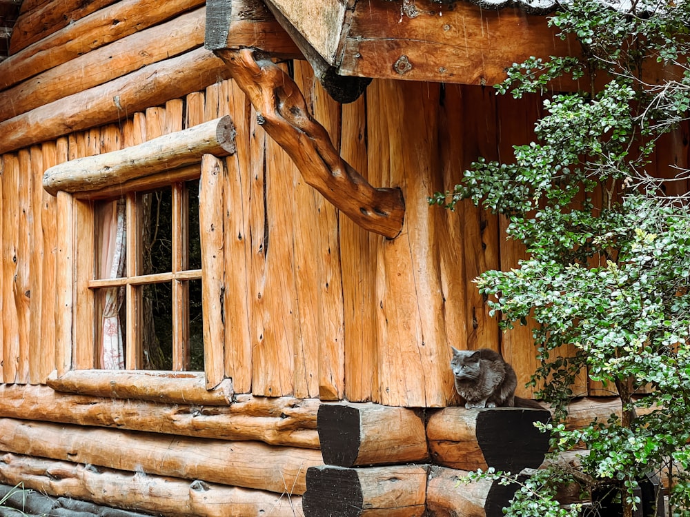 a log cabin with a window and a cat sitting on the window sill