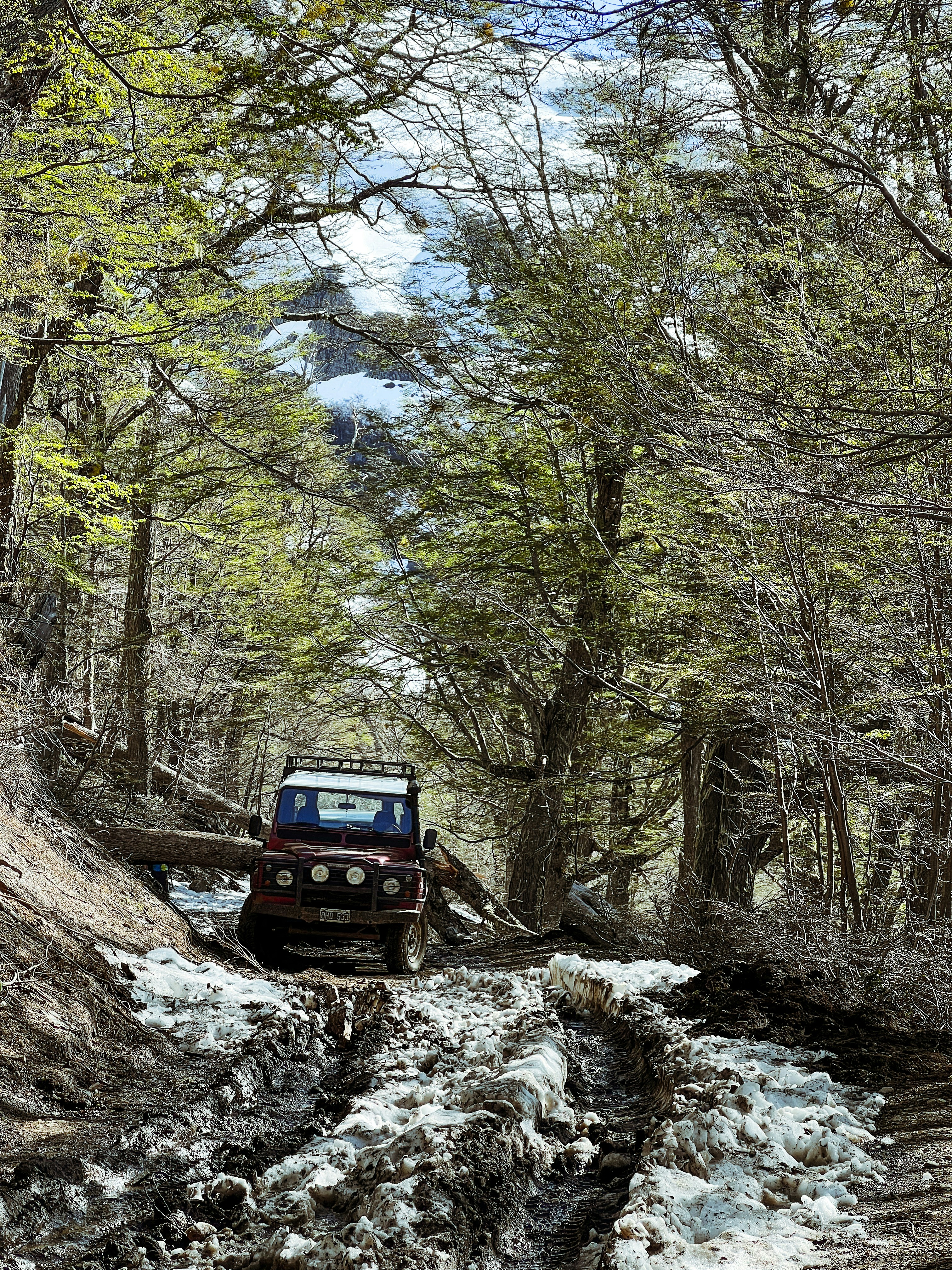 Maillots real madrid 2024