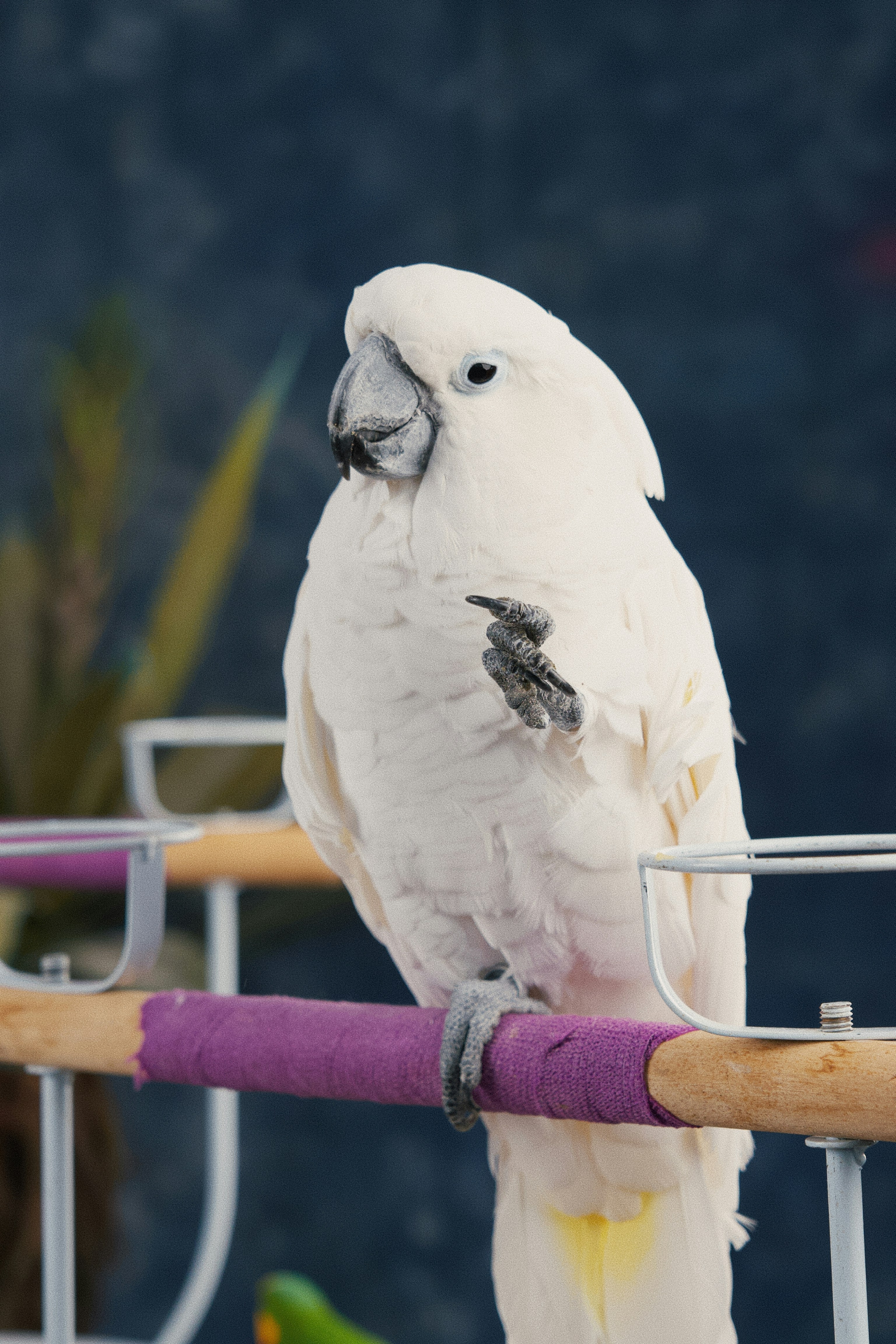 Photo by ycbrphotography