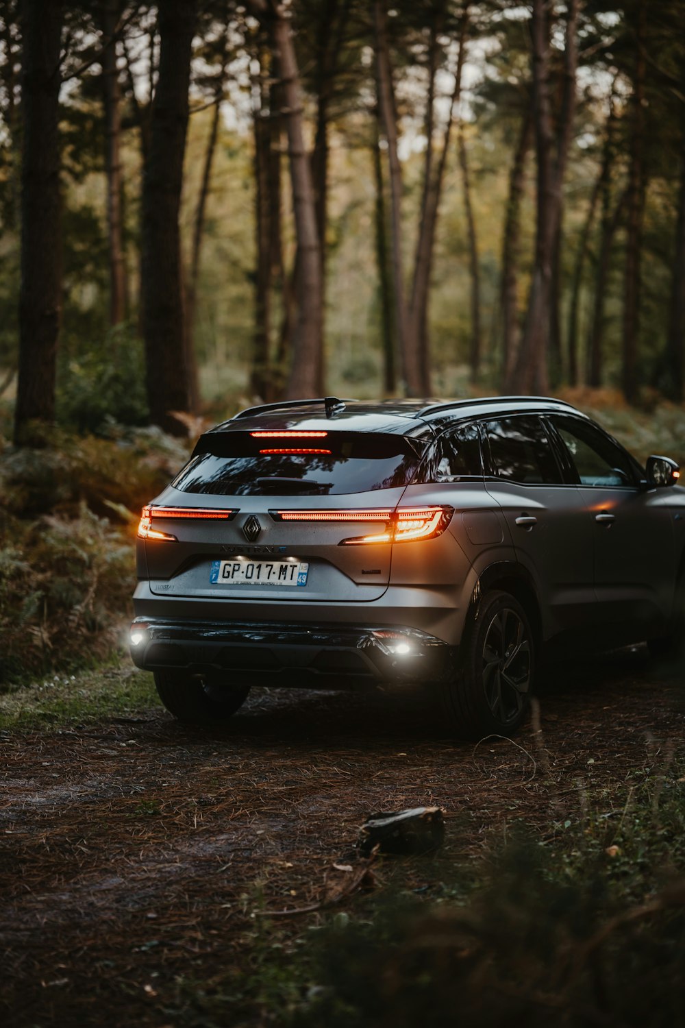 a car parked in the middle of a forest