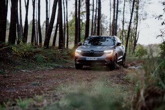 A spacious silver SUV driving through a forest road.