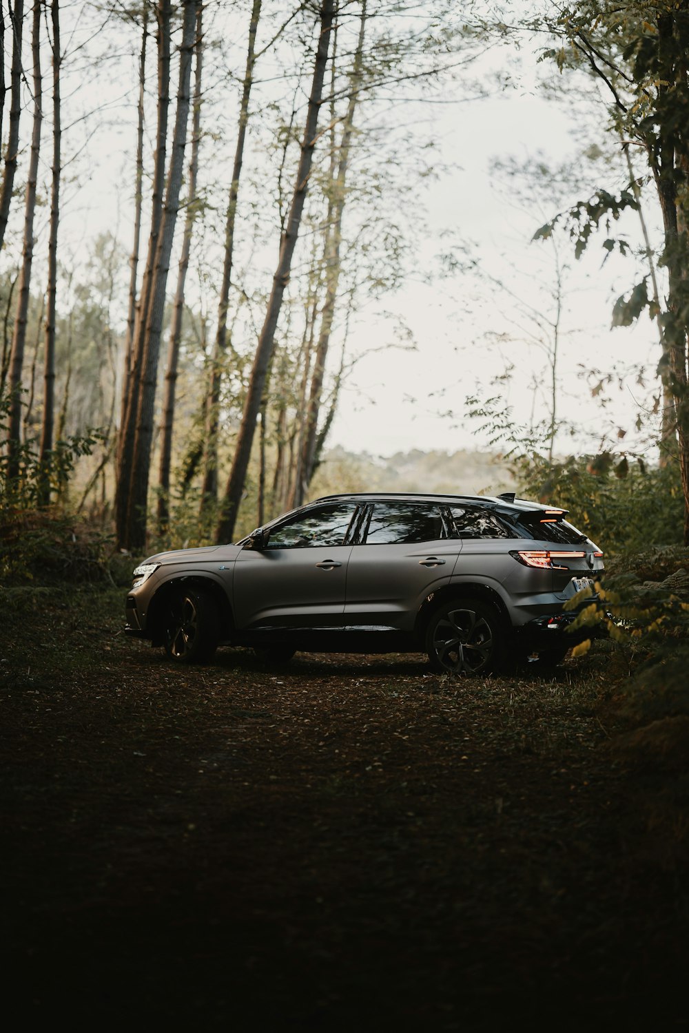 a car parked in the middle of a forest