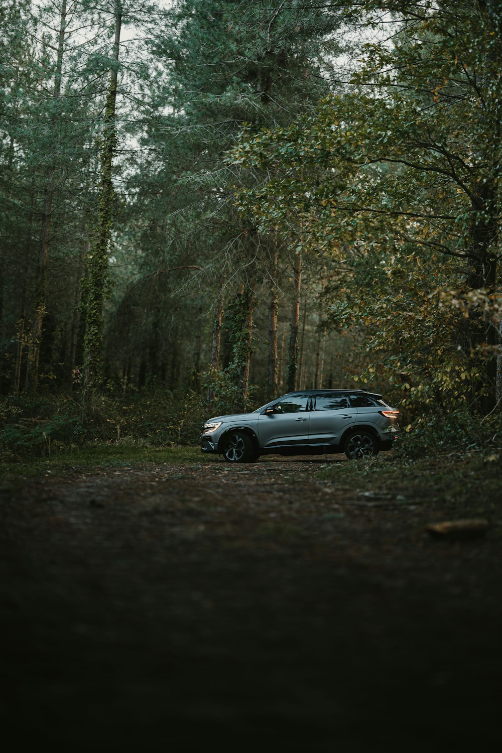 a car parked in the middle of a forest