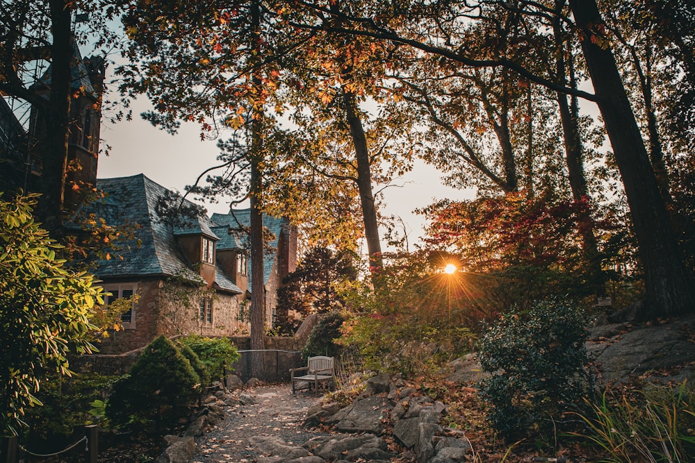 a stone path leading to a house in the woods