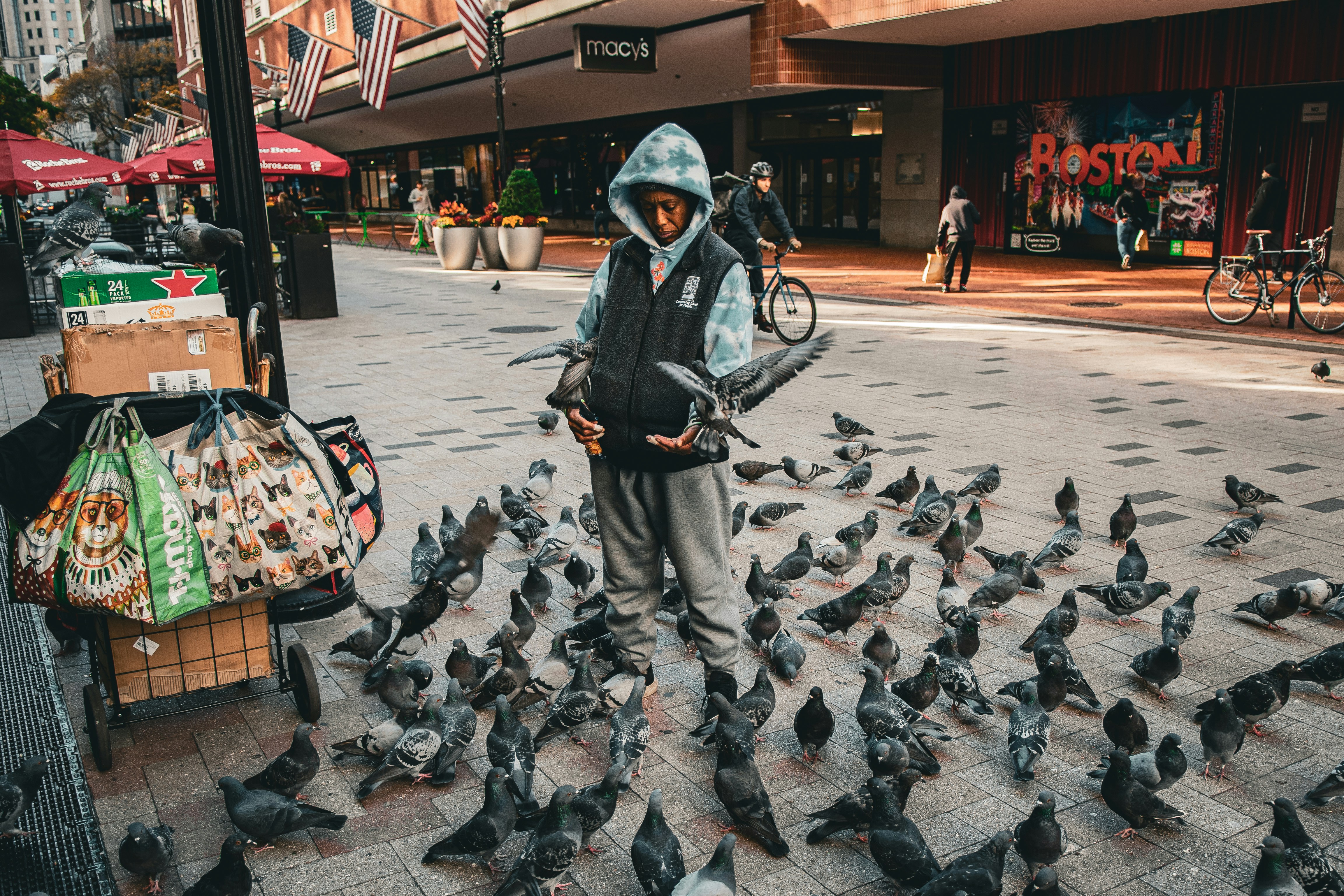 The Surprising Reality of Urban Wildlife Populations (image credits: unsplash)