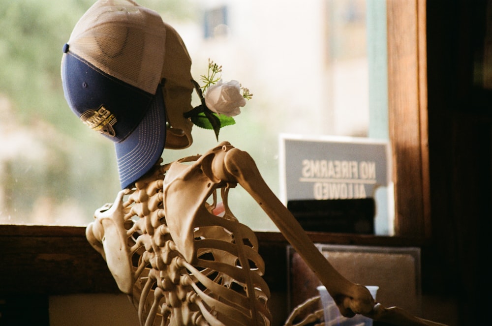 a skeleton with a hat and a flower in its mouth
