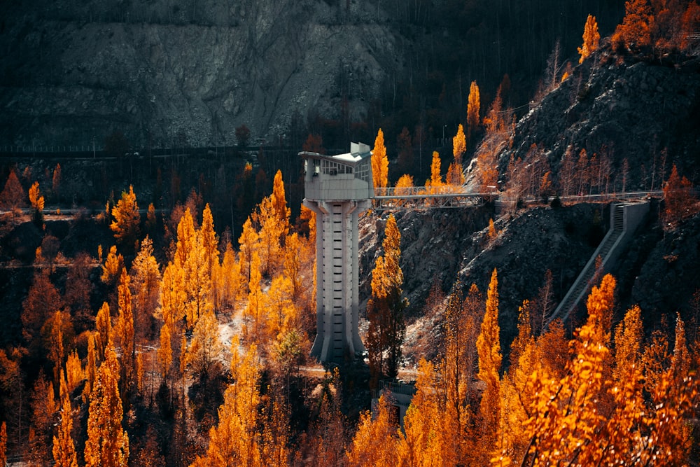 a tall tower sitting on top of a lush green forest