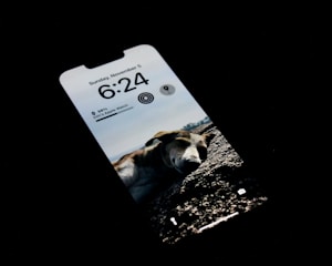 Notification alert on a phone showing pet left the safe zone.