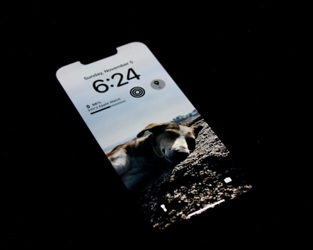 Notification alert on a phone showing pet left the safe zone.