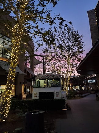 A food truck is parked on a dimly lit street, surrounded by trees wrapped in warm, white fairy lights. The sky is transitioning from dusk to night, displaying hues of blue and pink. Nearby buildings are visible with glass windows and signs.