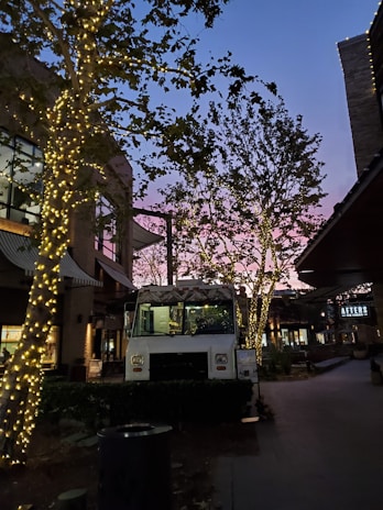 A food truck is parked on a dimly lit street, surrounded by trees wrapped in warm, white fairy lights. The sky is transitioning from dusk to night, displaying hues of blue and pink. Nearby buildings are visible with glass windows and signs.