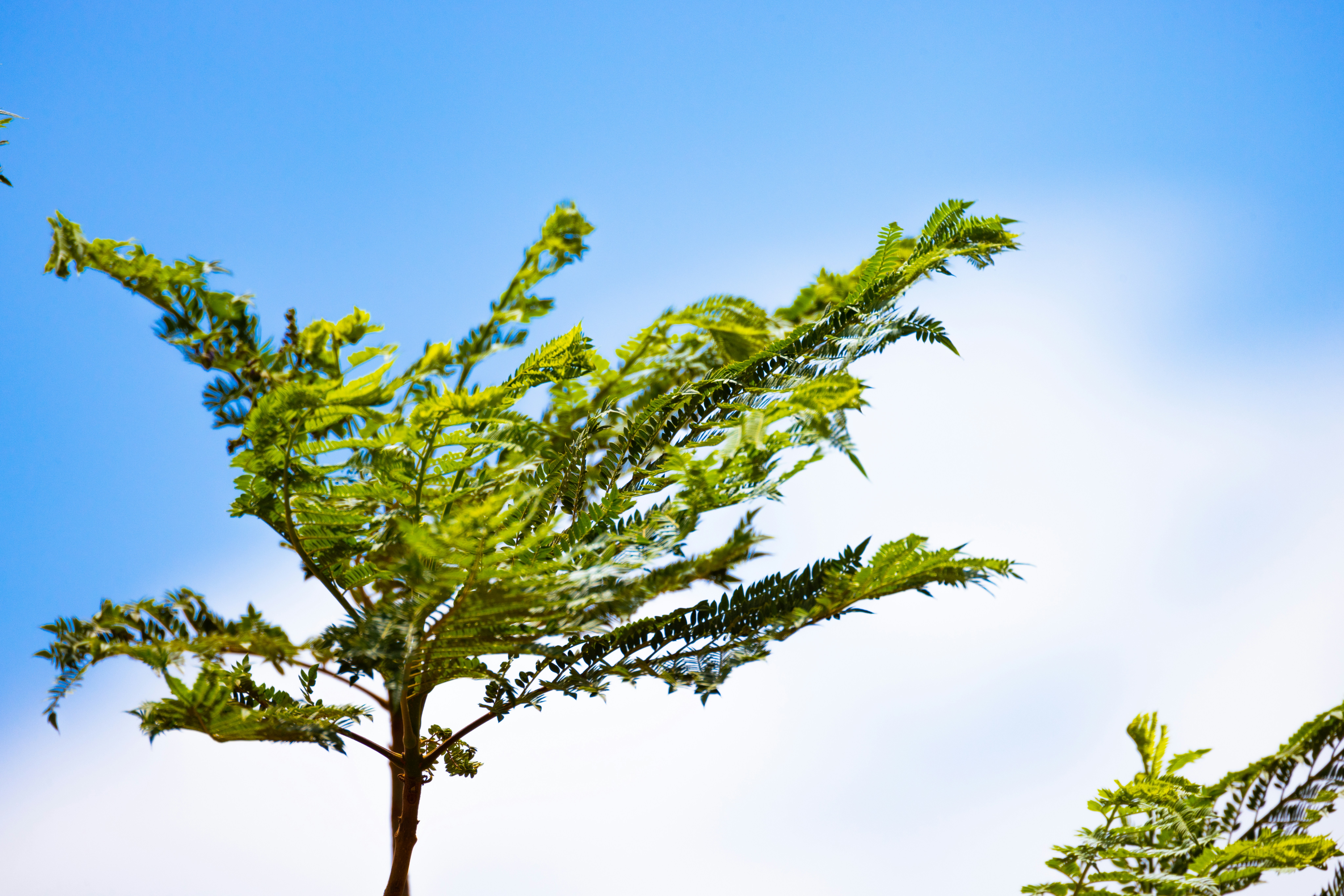 Photo by arttoinspire