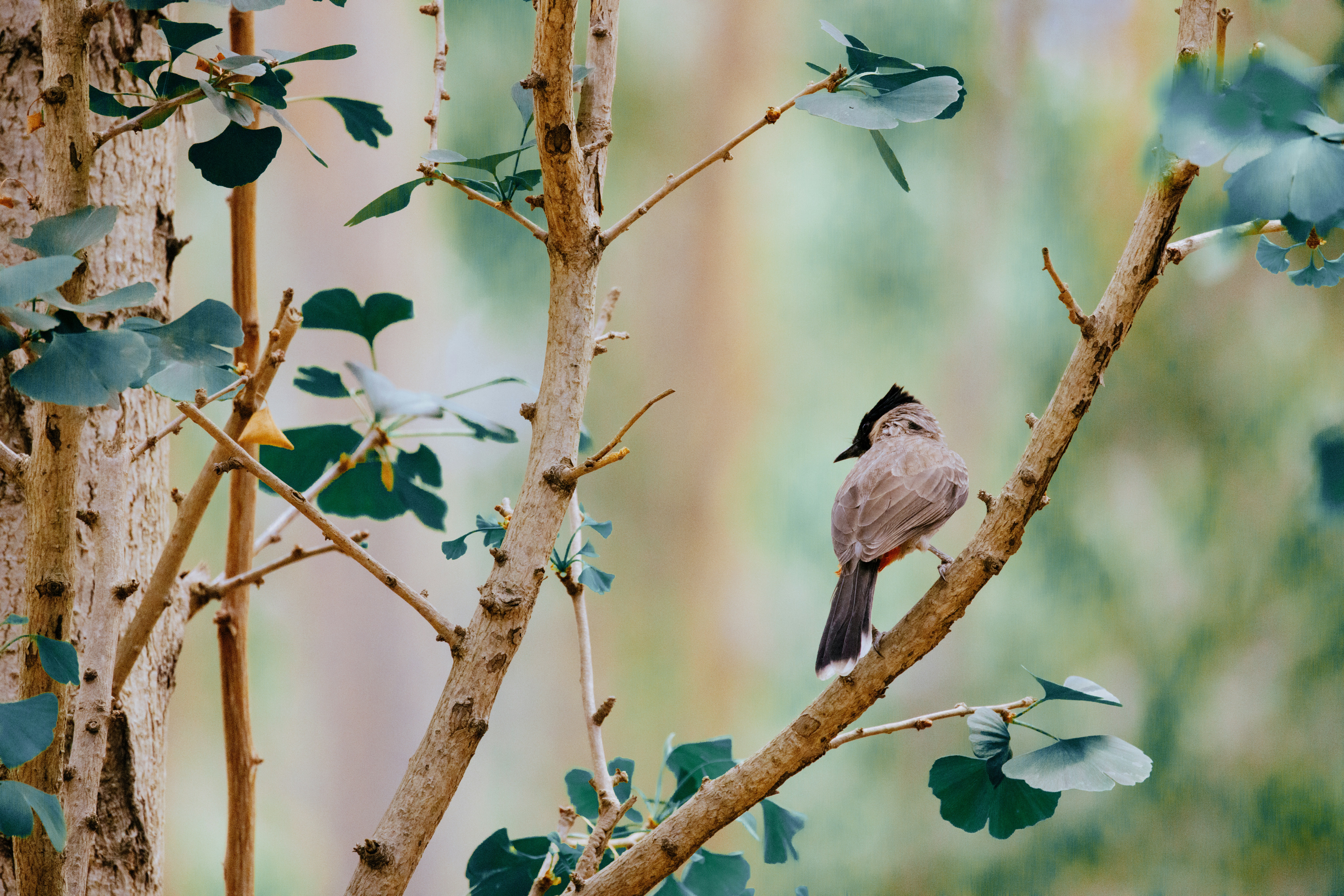 Photo by arttoinspire