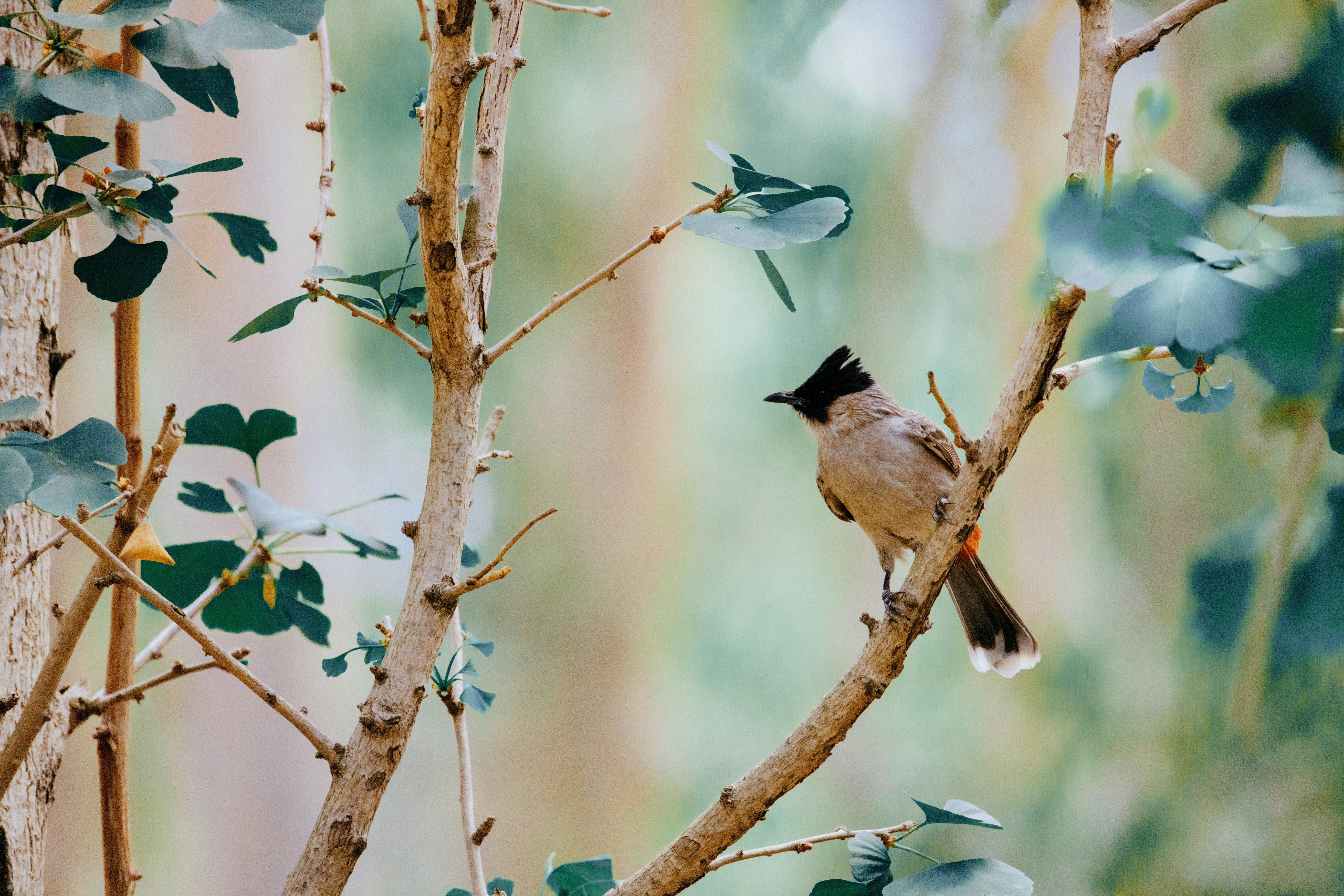 Photo by arttoinspire