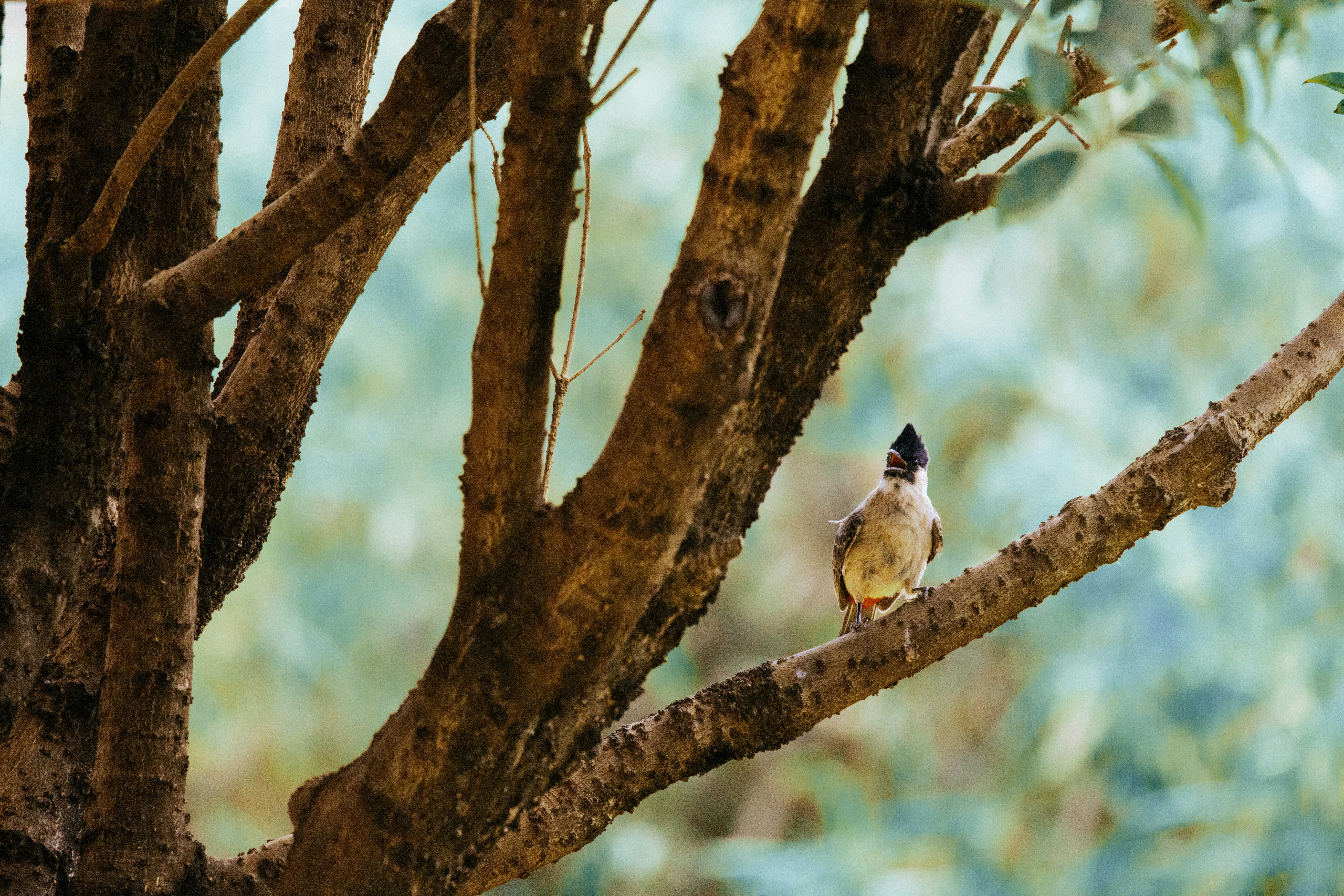 Photo by arttoinspire