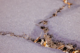 Before and after shots showing a worn pavement transformed by PavePro.