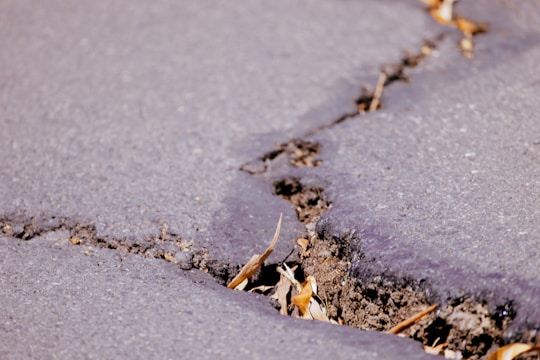 A close-up view of a cracked asphalt surface with visible soil and dried leaves lodged in the crevice. The pavement appears weathered, with uneven edges along the crack.