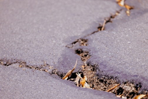 A close-up view of a cracked asphalt surface with visible soil and dried leaves lodged in the crevice. The pavement appears weathered, with uneven edges along the crack.