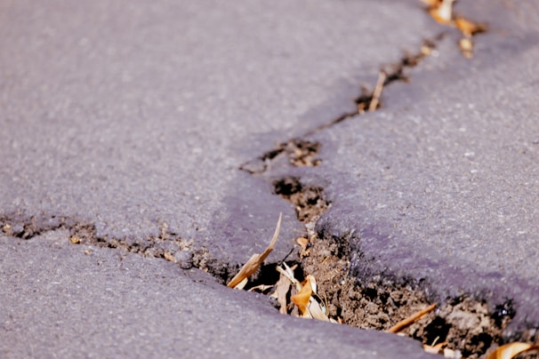 A close-up view of a cracked asphalt surface with visible soil and dried leaves lodged in the crevice. The pavement appears weathered, with uneven edges along the crack.