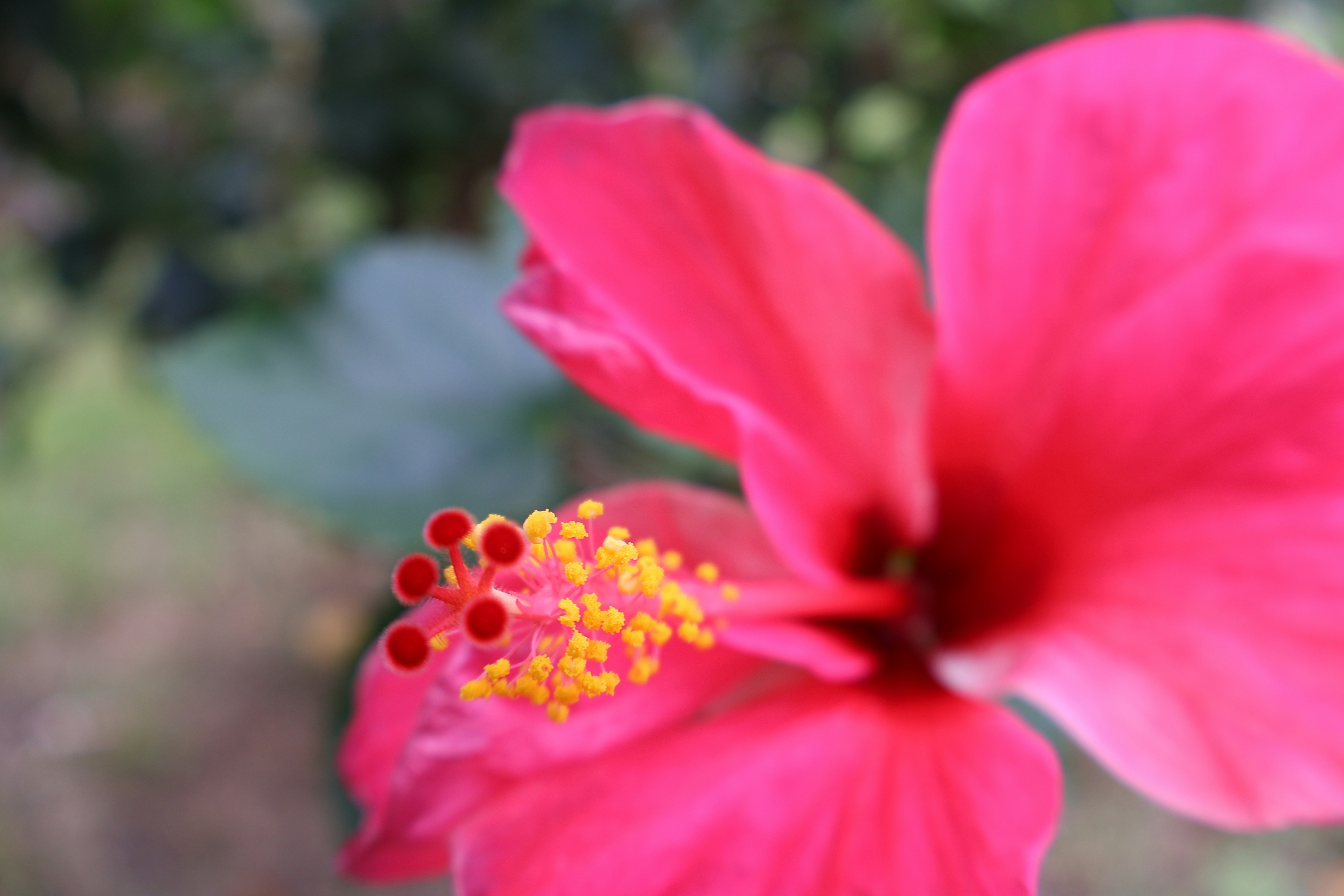 Photo by mission_pilot