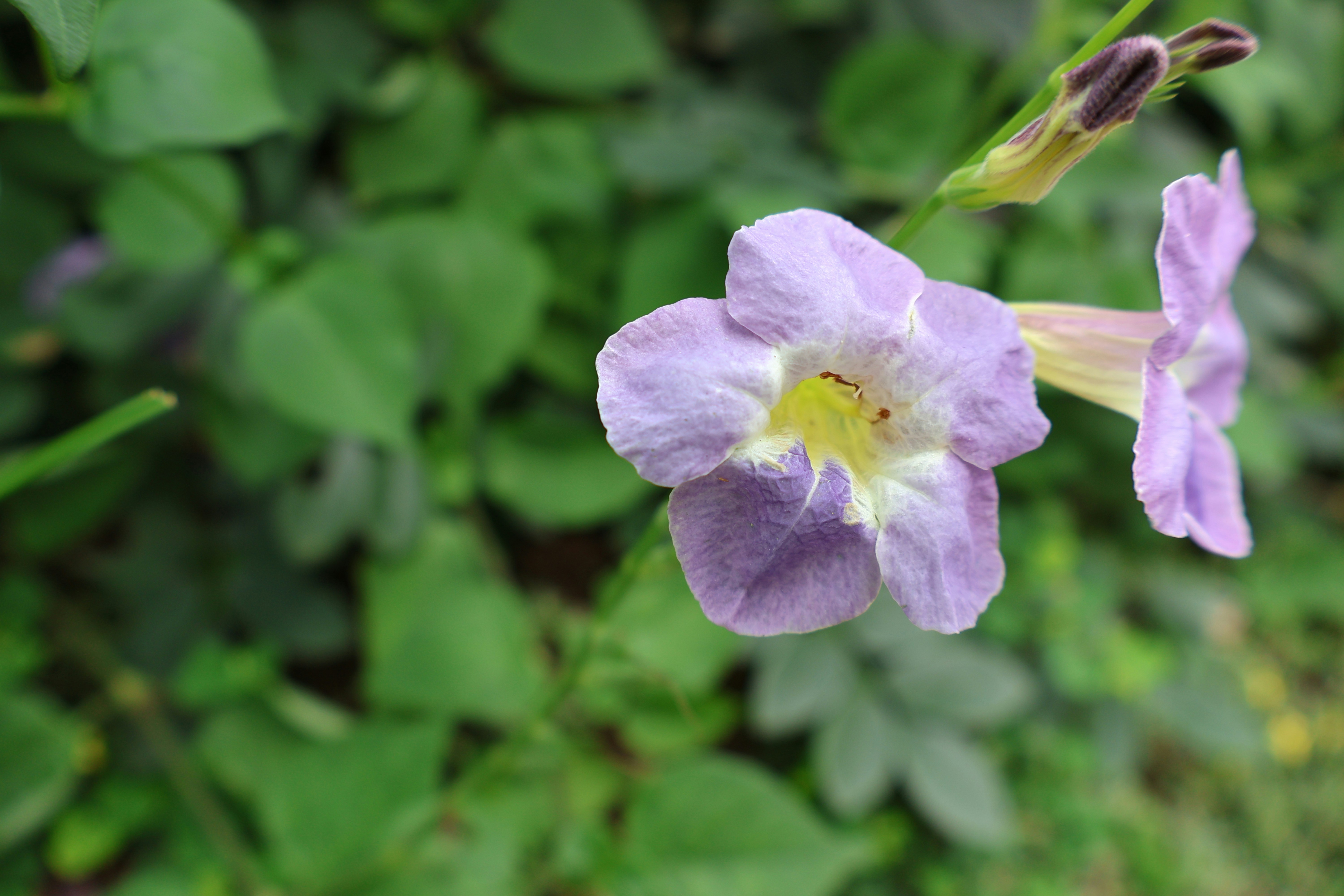 Photo by mission_pilot