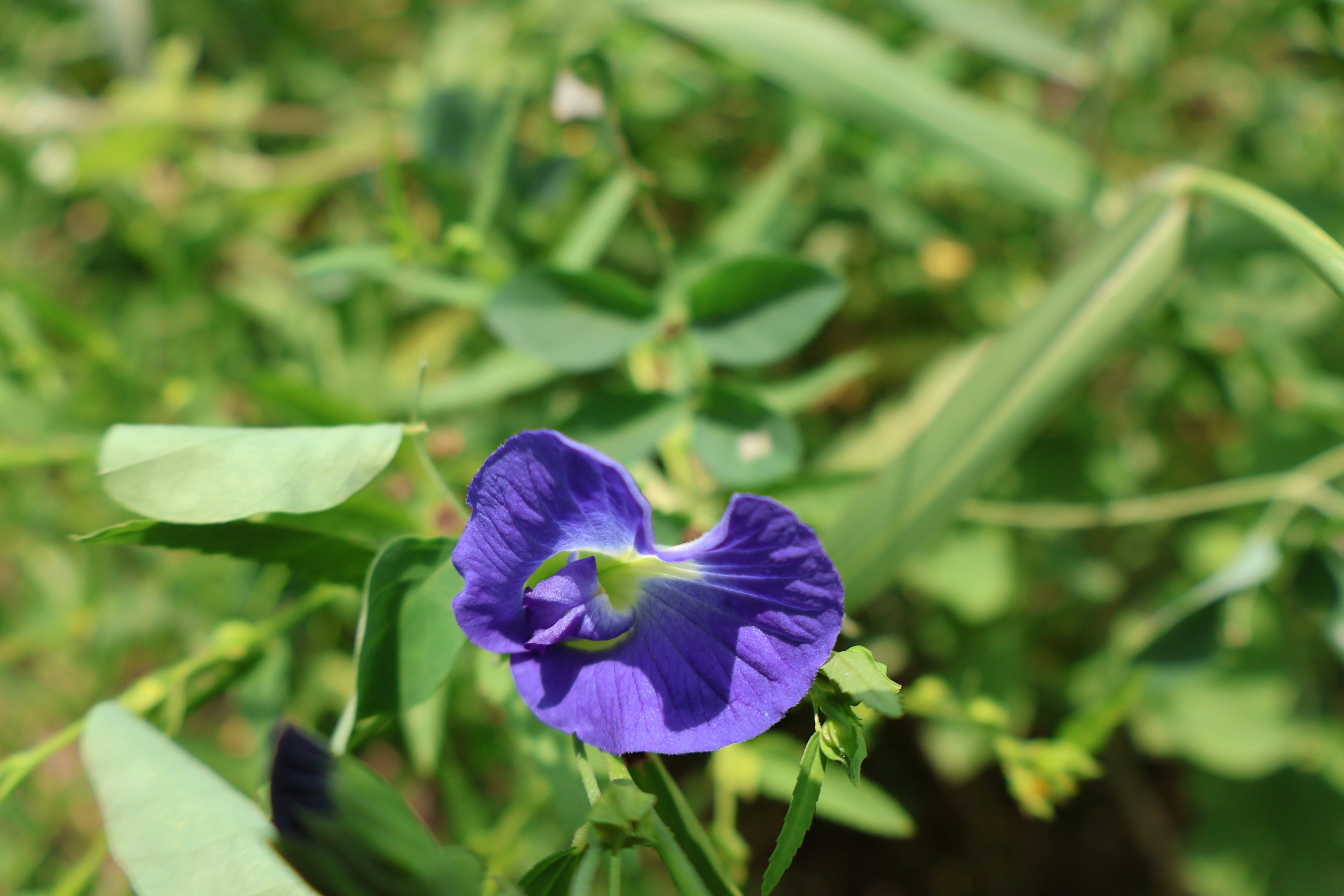 Photo by mission_pilot