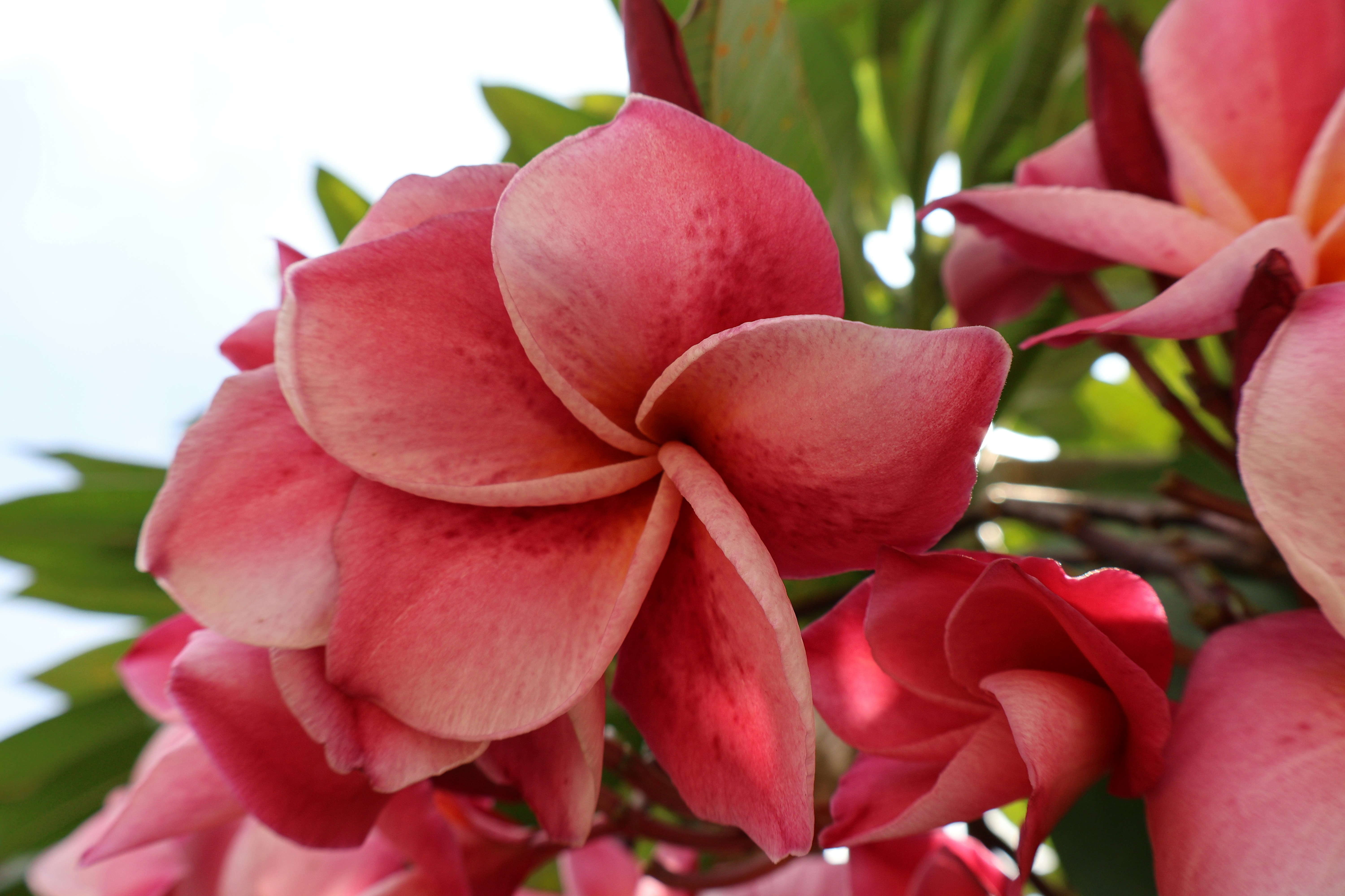 Photo by mission_pilot