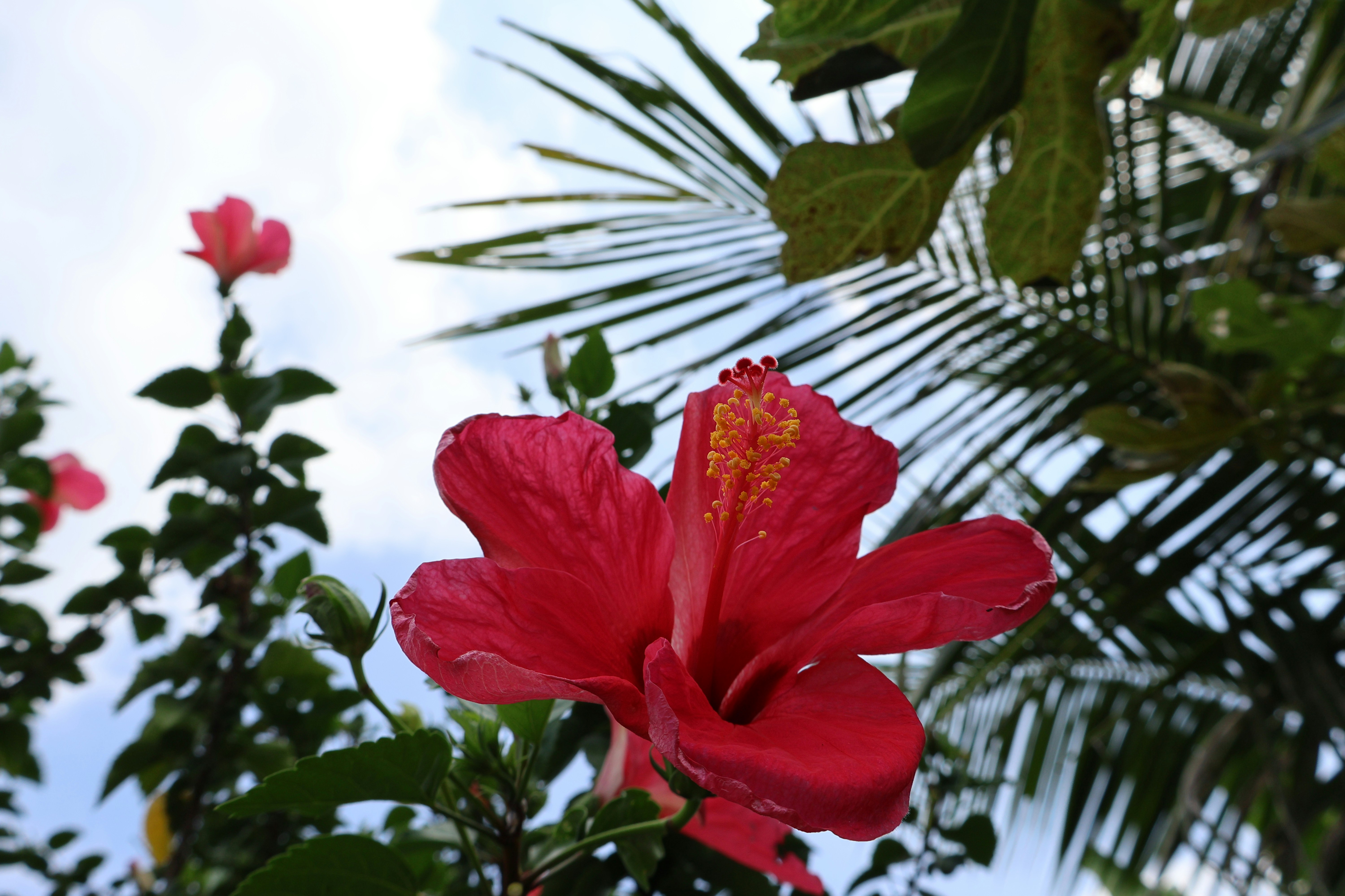 Photo by mission_pilot