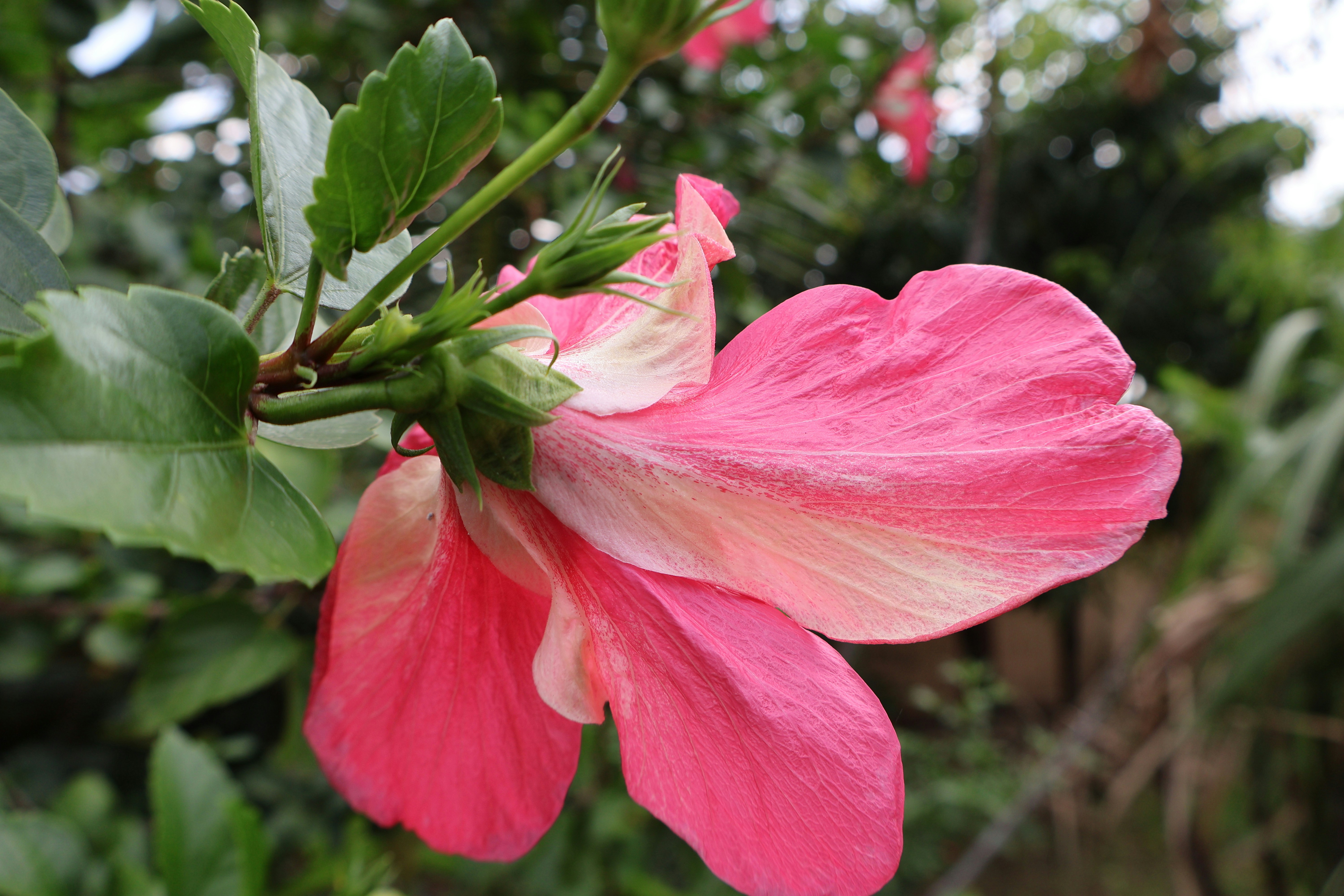 Photo by mission_pilot