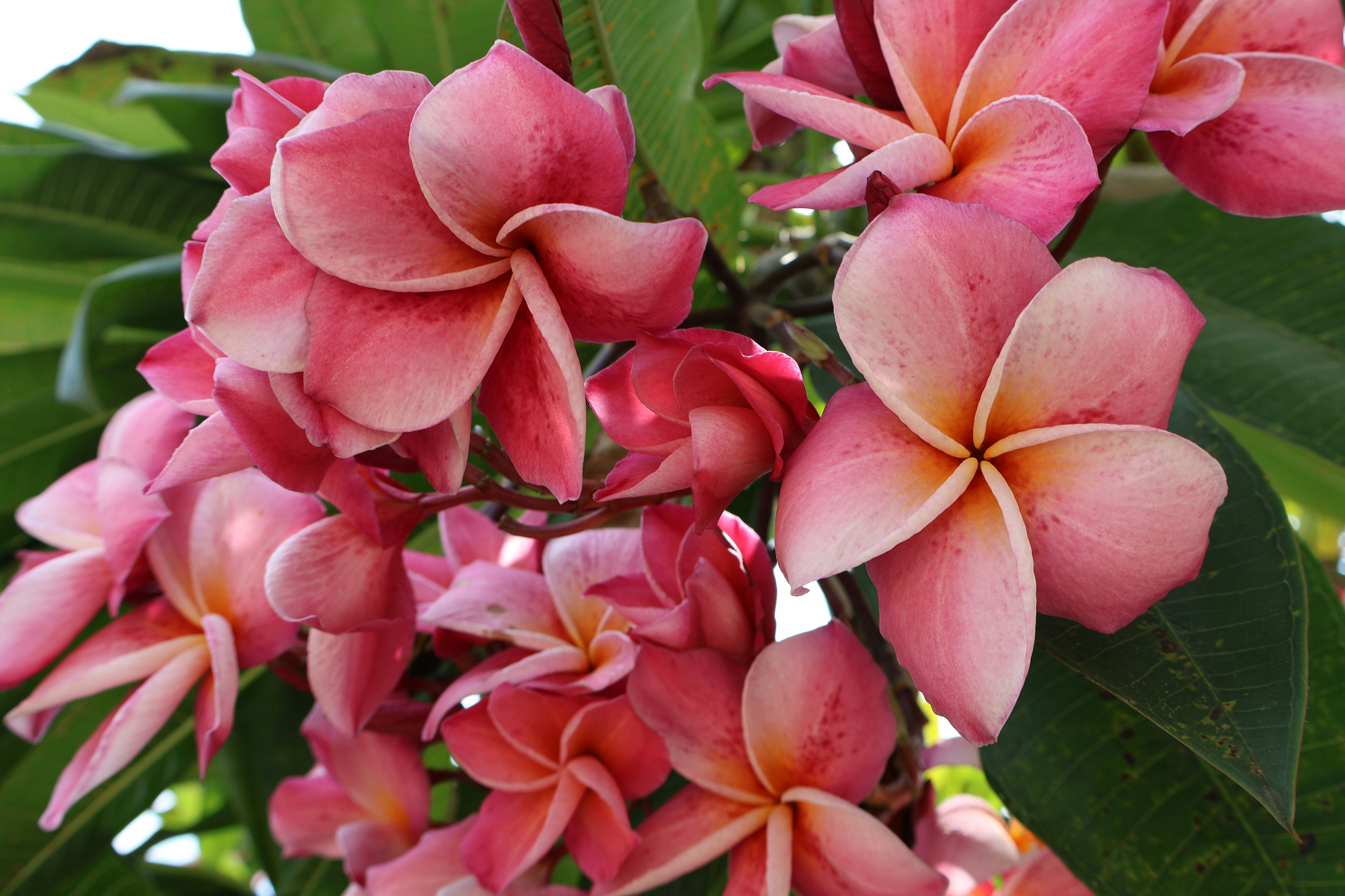 Photo by mission_pilot