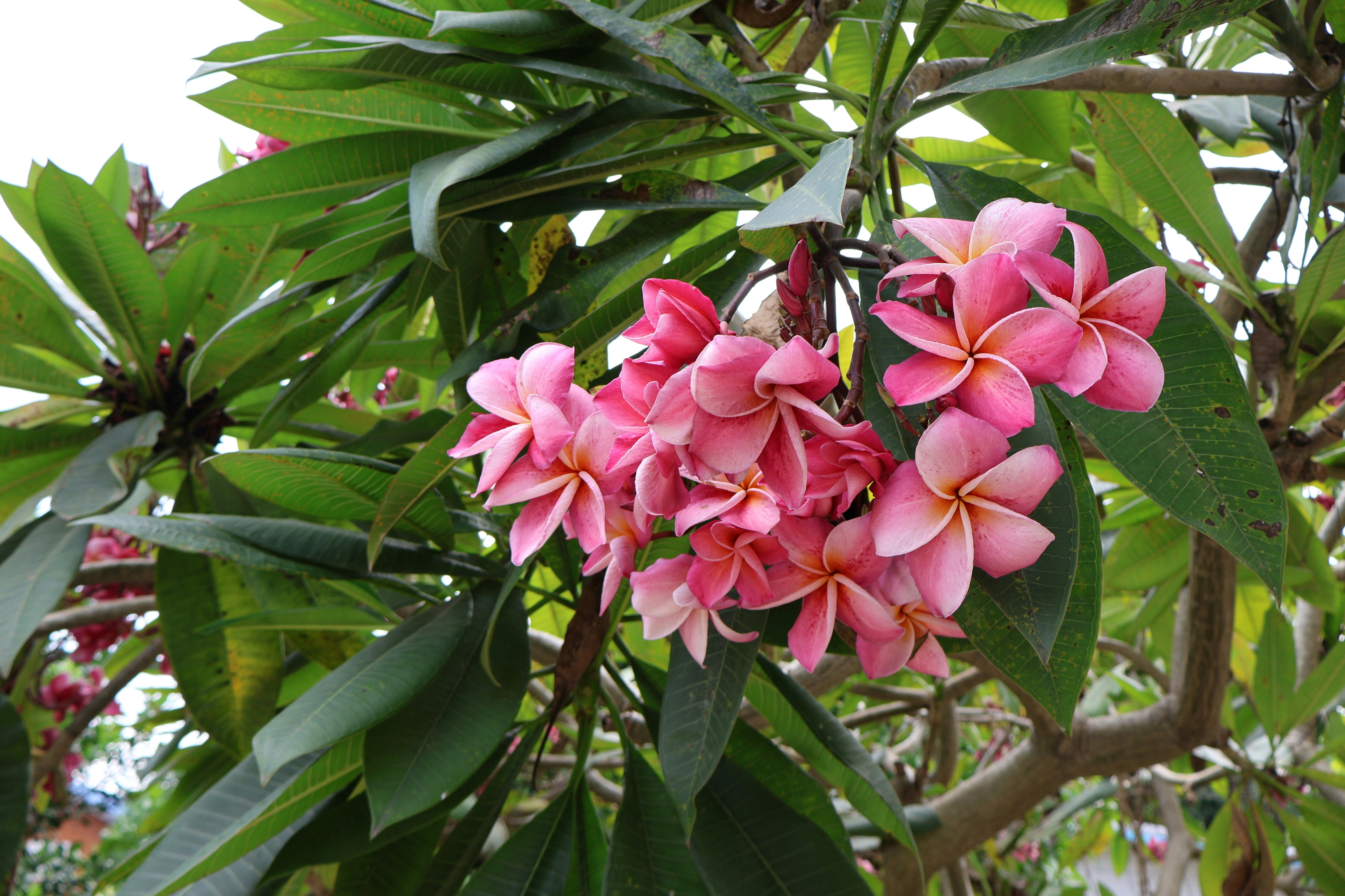 Photo by mission_pilot