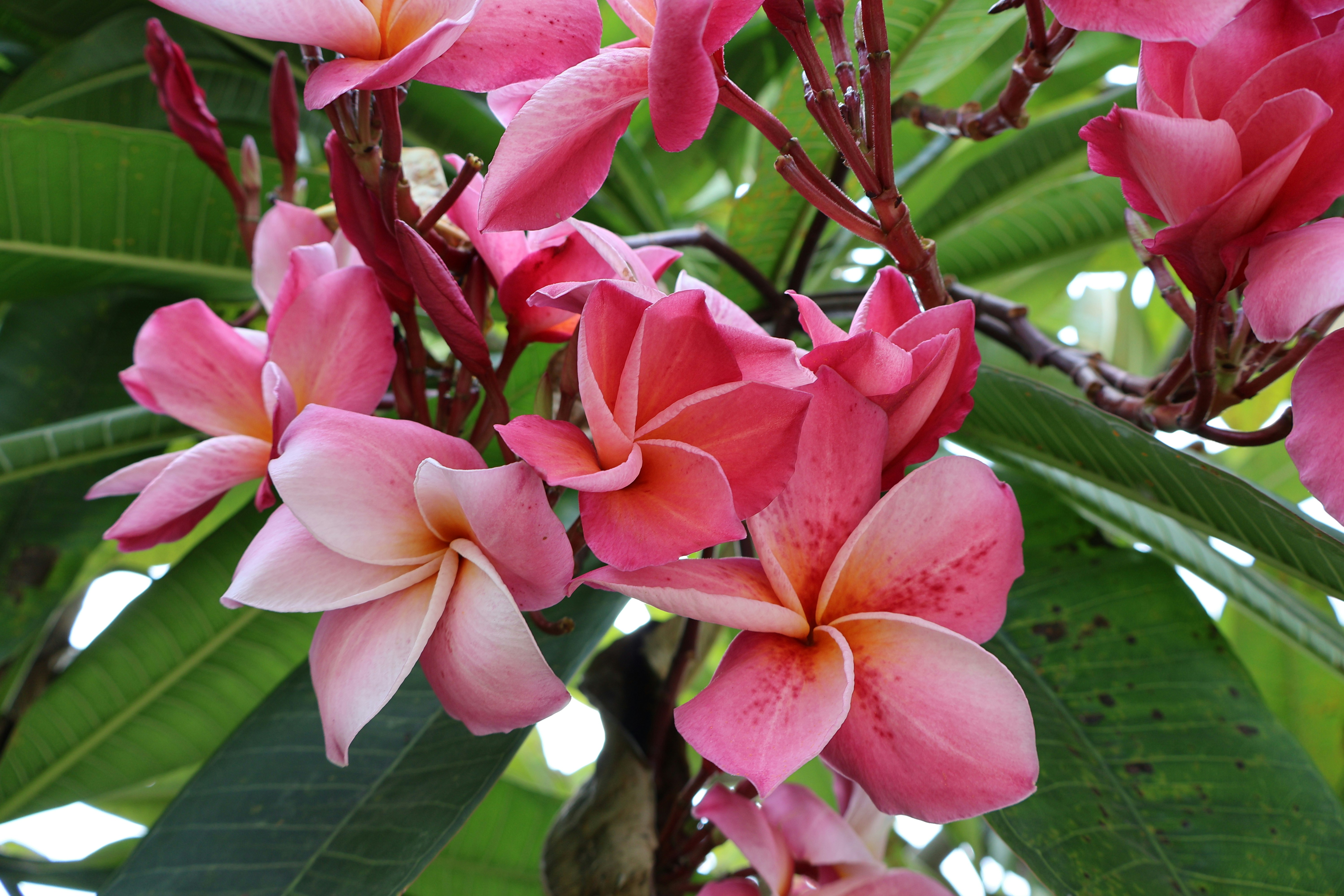 Photo by mission_pilot