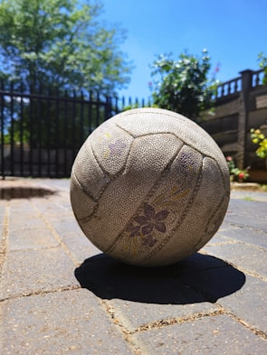 A row of freshly crafted volleyballs drying under soft natural light.
