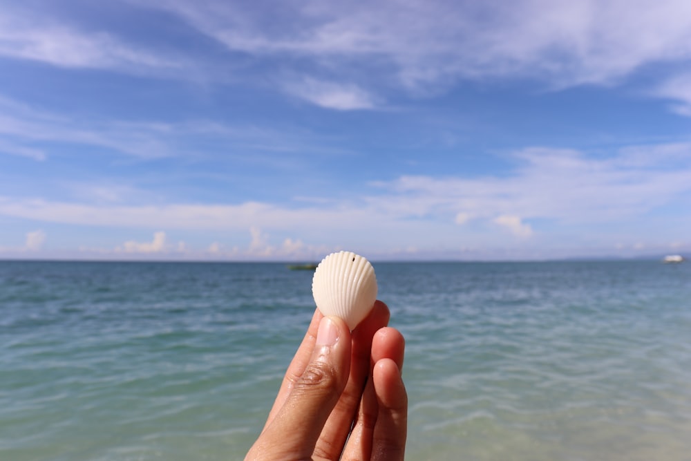 a person holding a shell in front of a body of water