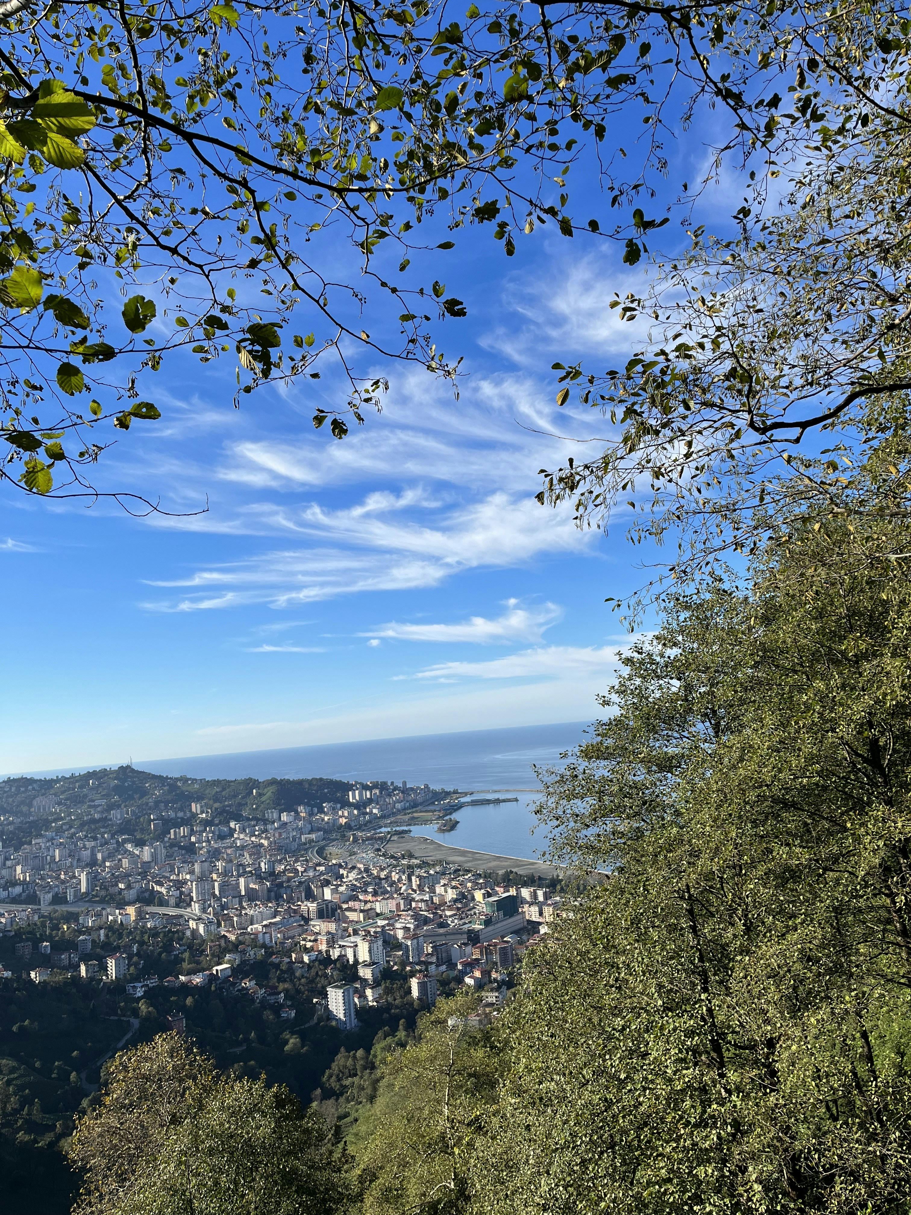 Photo by eliftugbayildirim