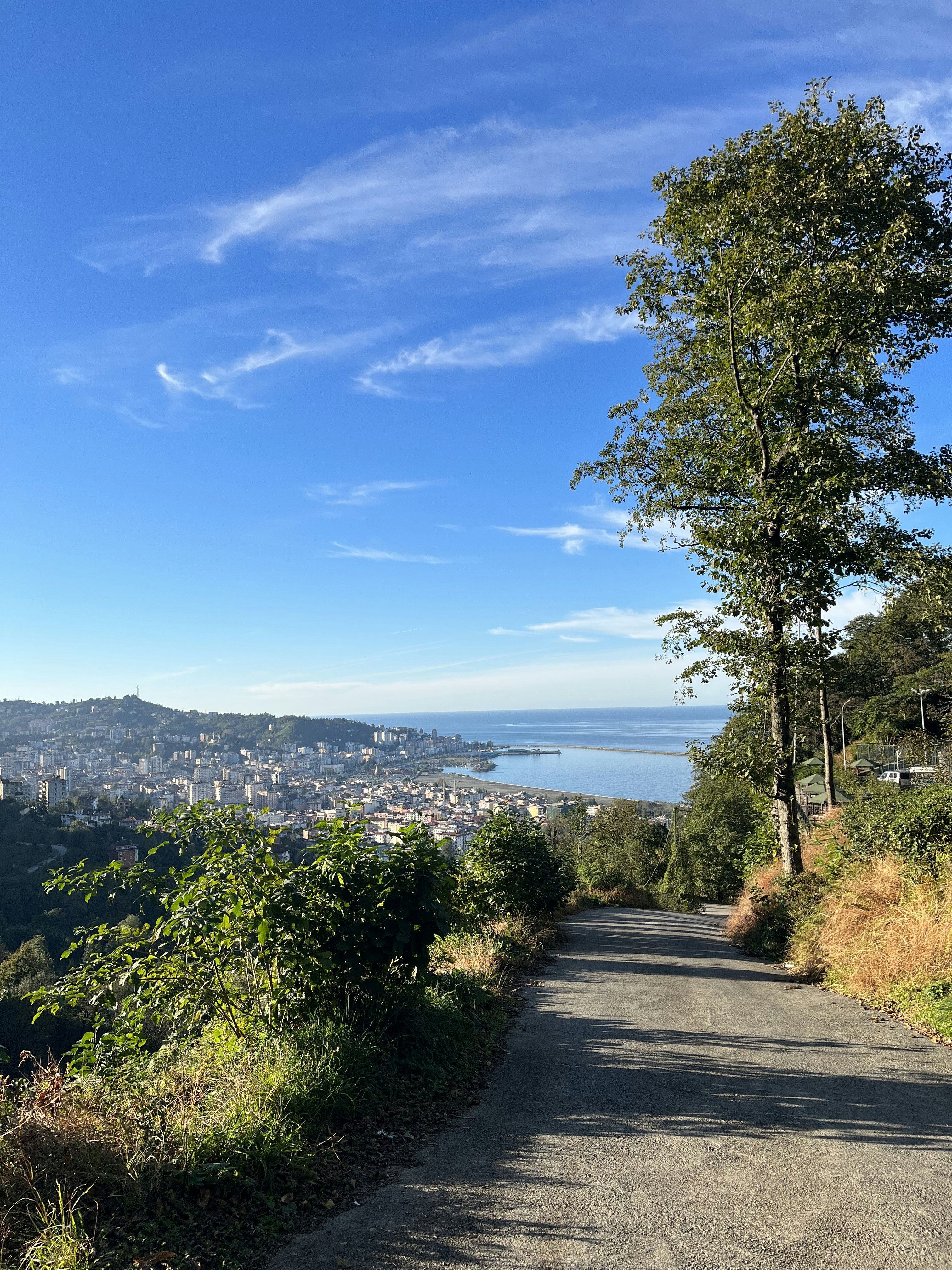 Photo by eliftugbayildirim