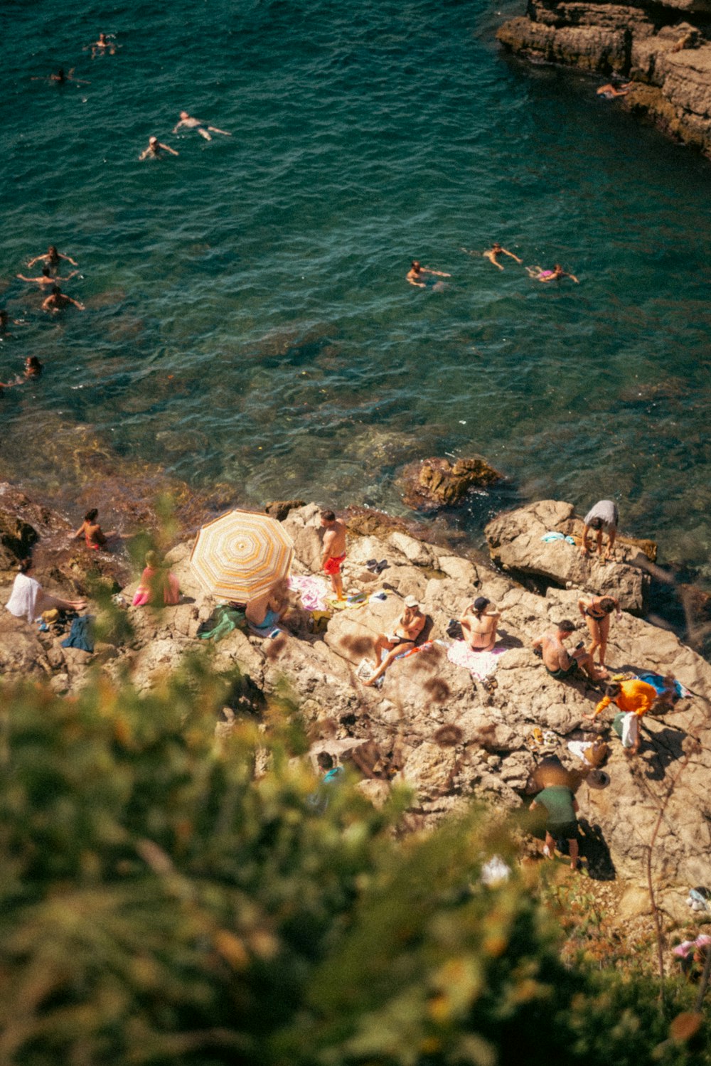 a group of people swimming in a body of water