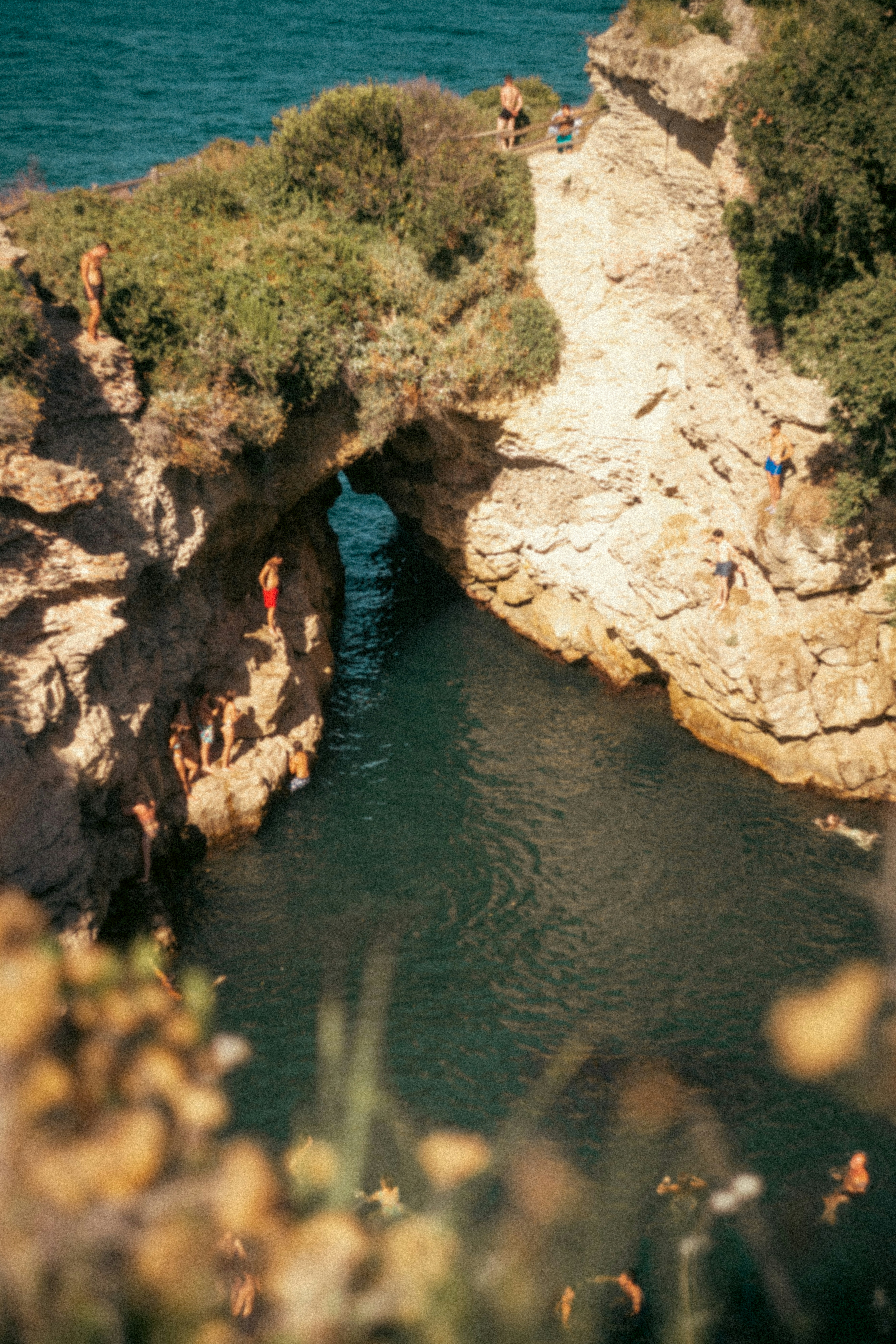 Photo by brunovdkraan
