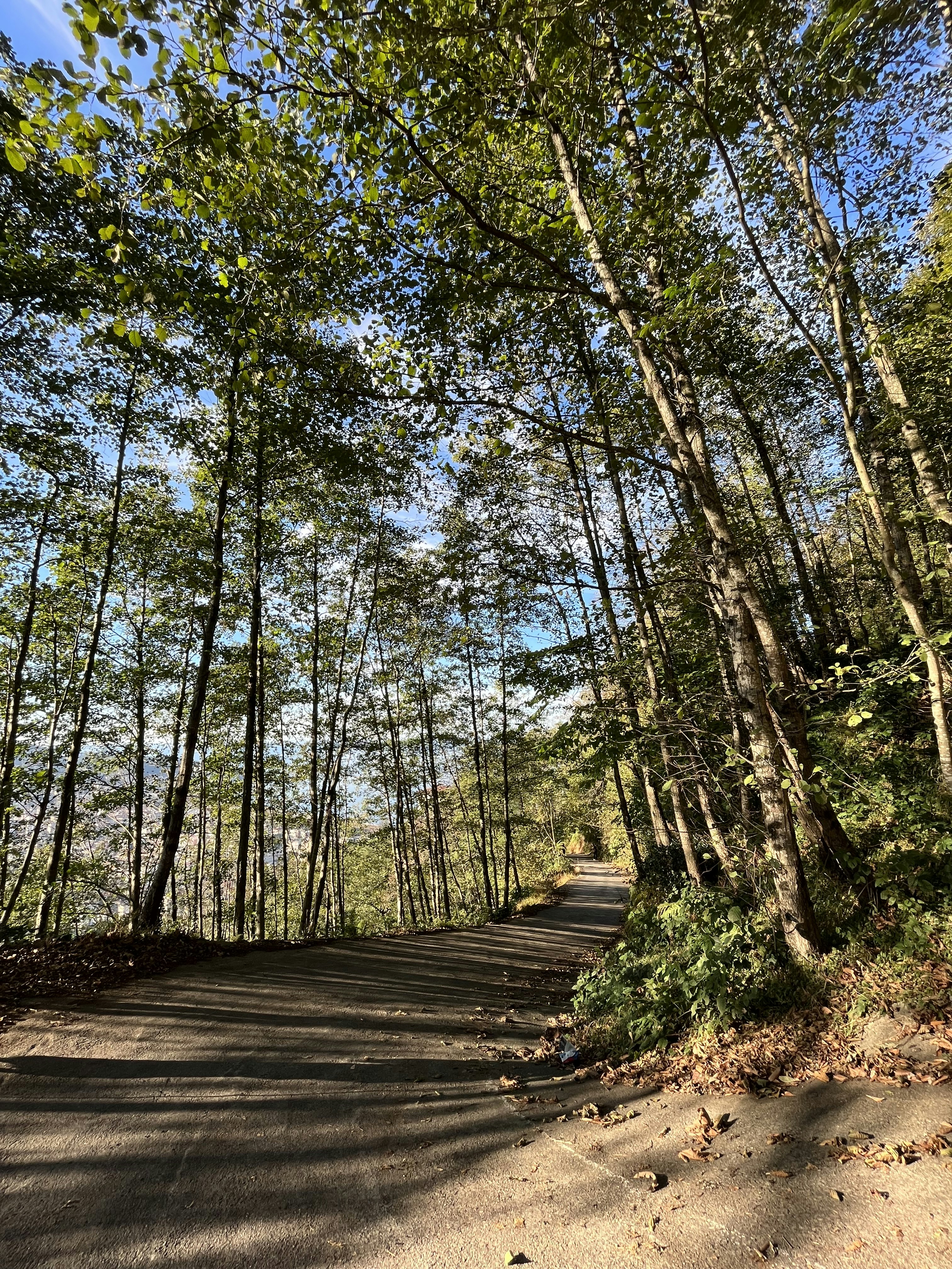 Photo by eliftugbayildirim